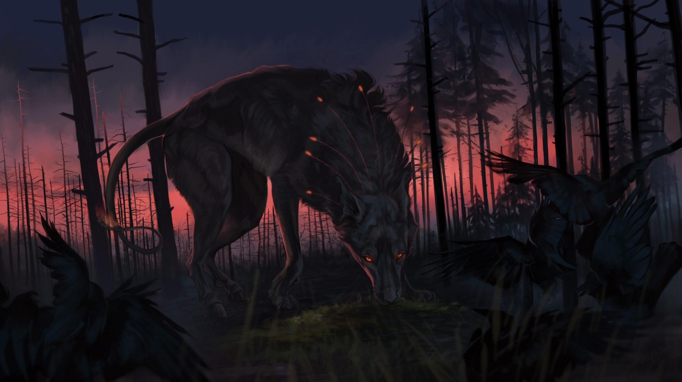 Two wolves and a crow in a snowy forest HD Wallpaper