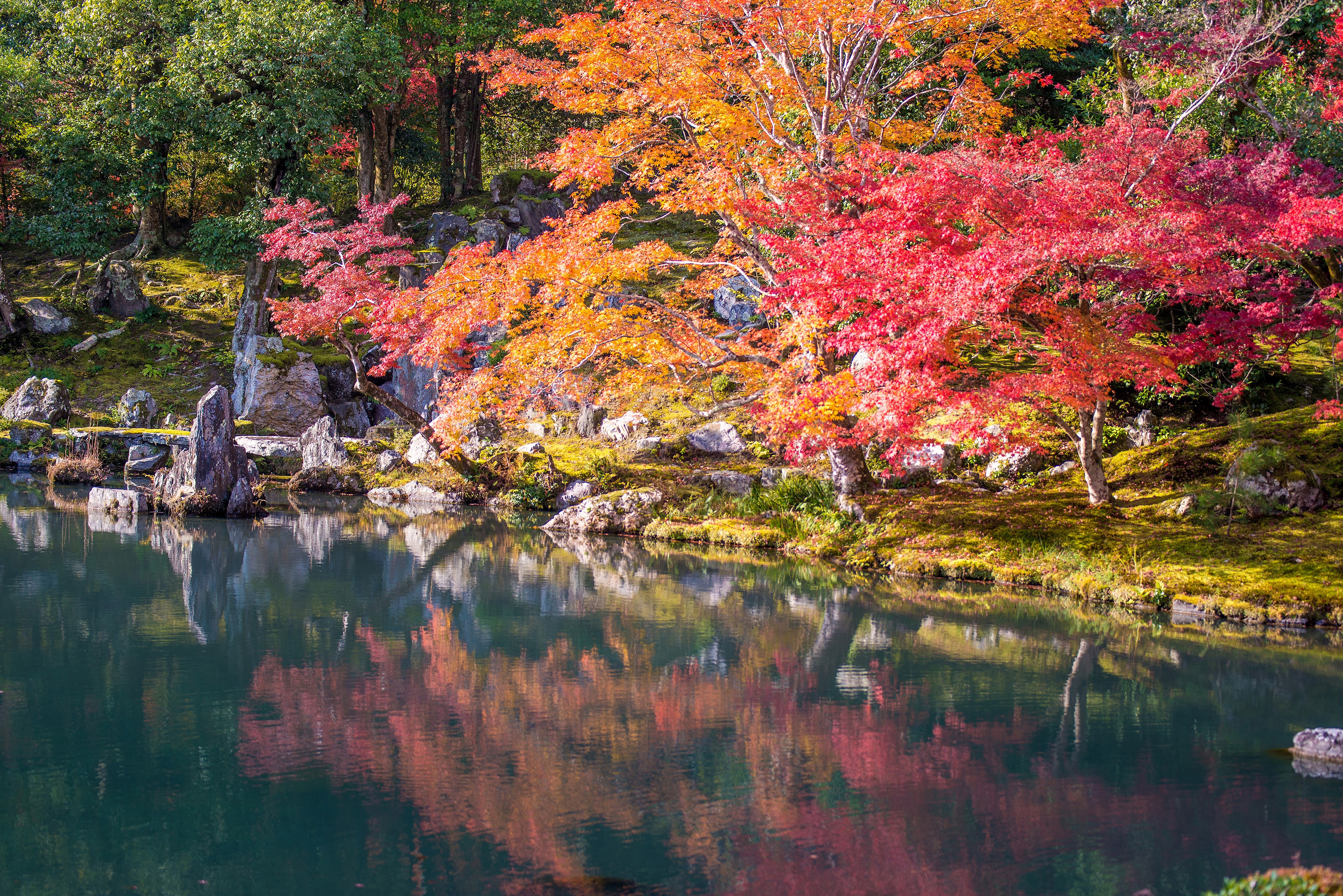 Autumn foliage reflected in a pond in Kyoto, Japan HD Wallpaper