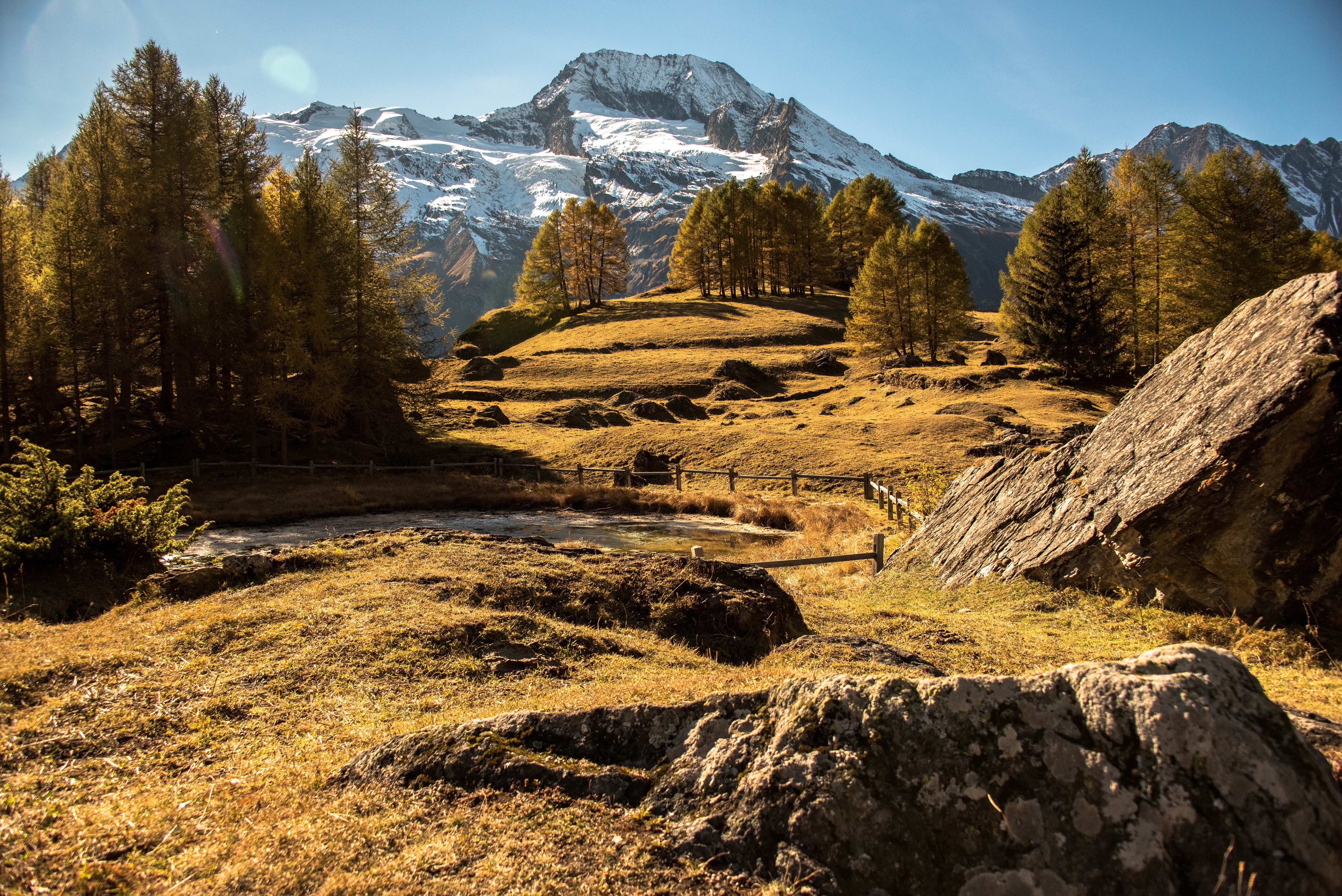 Autumn landscape with mountains and trees in France HD Wallpaper