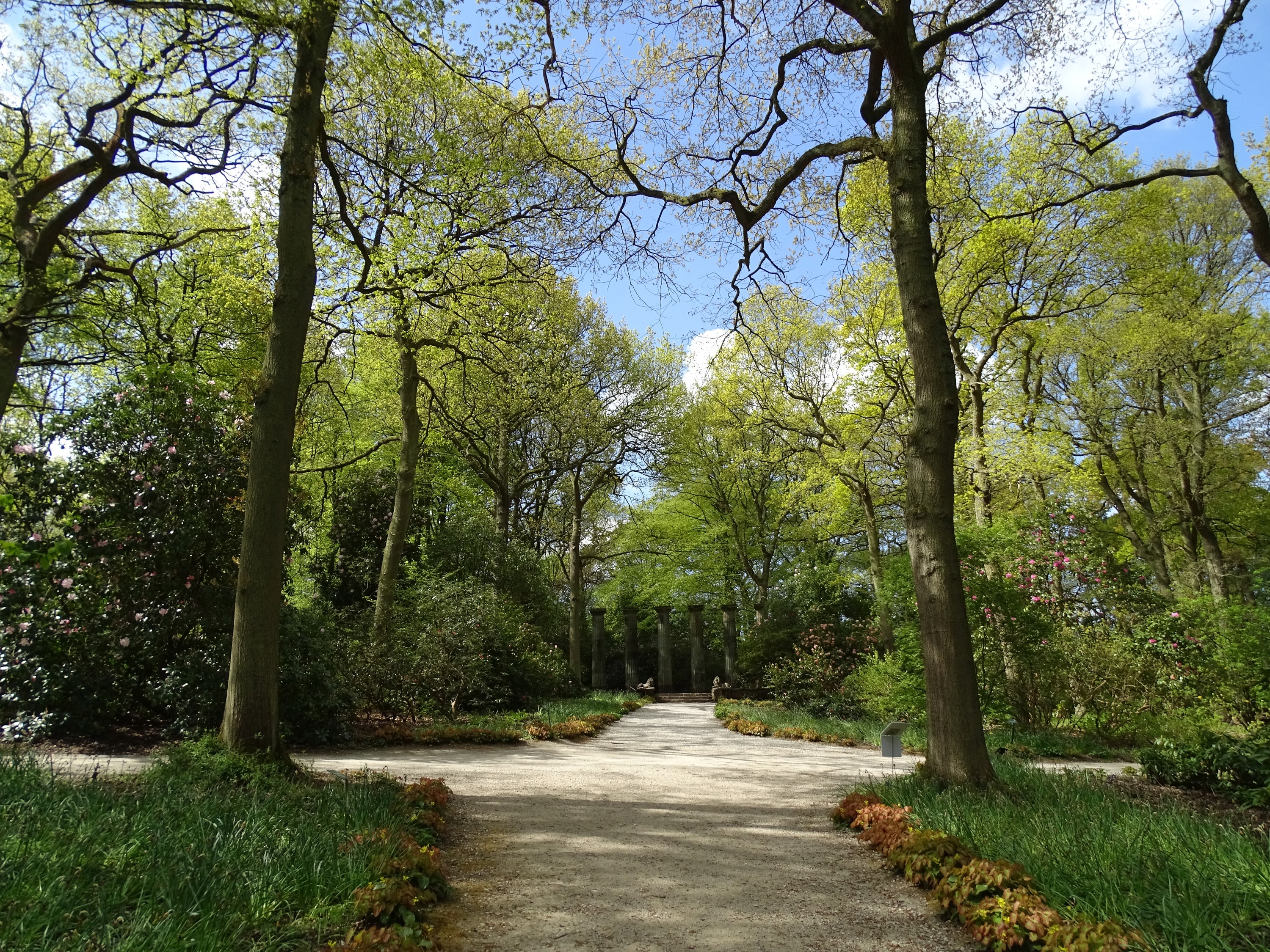 Garden path with trees and flowers in Harlow Carr, United Kingdom HD Wallpaper