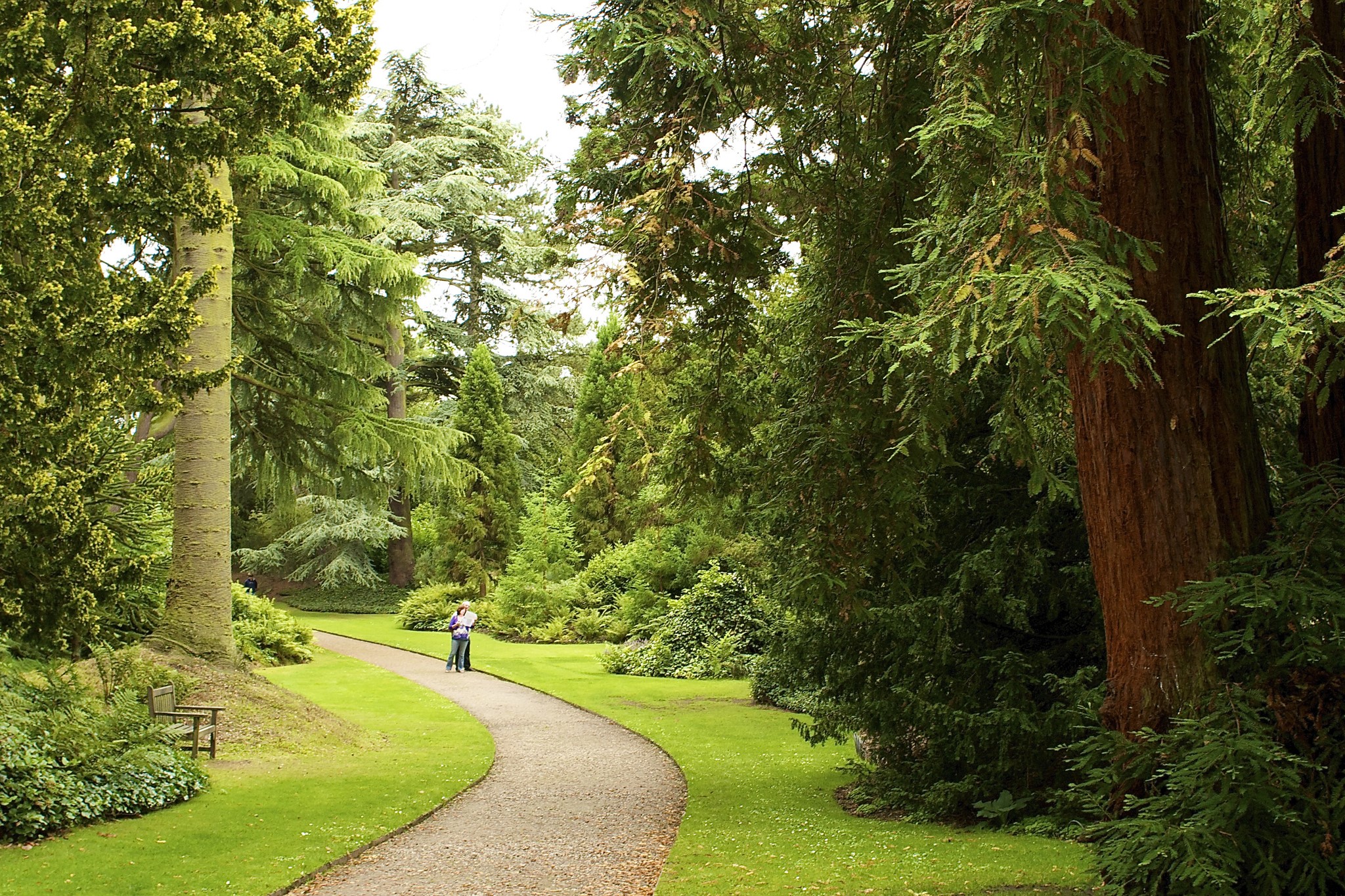 A couple walks on a path in Biddulph Grange Garden, United Kingdom HD Wallpaper