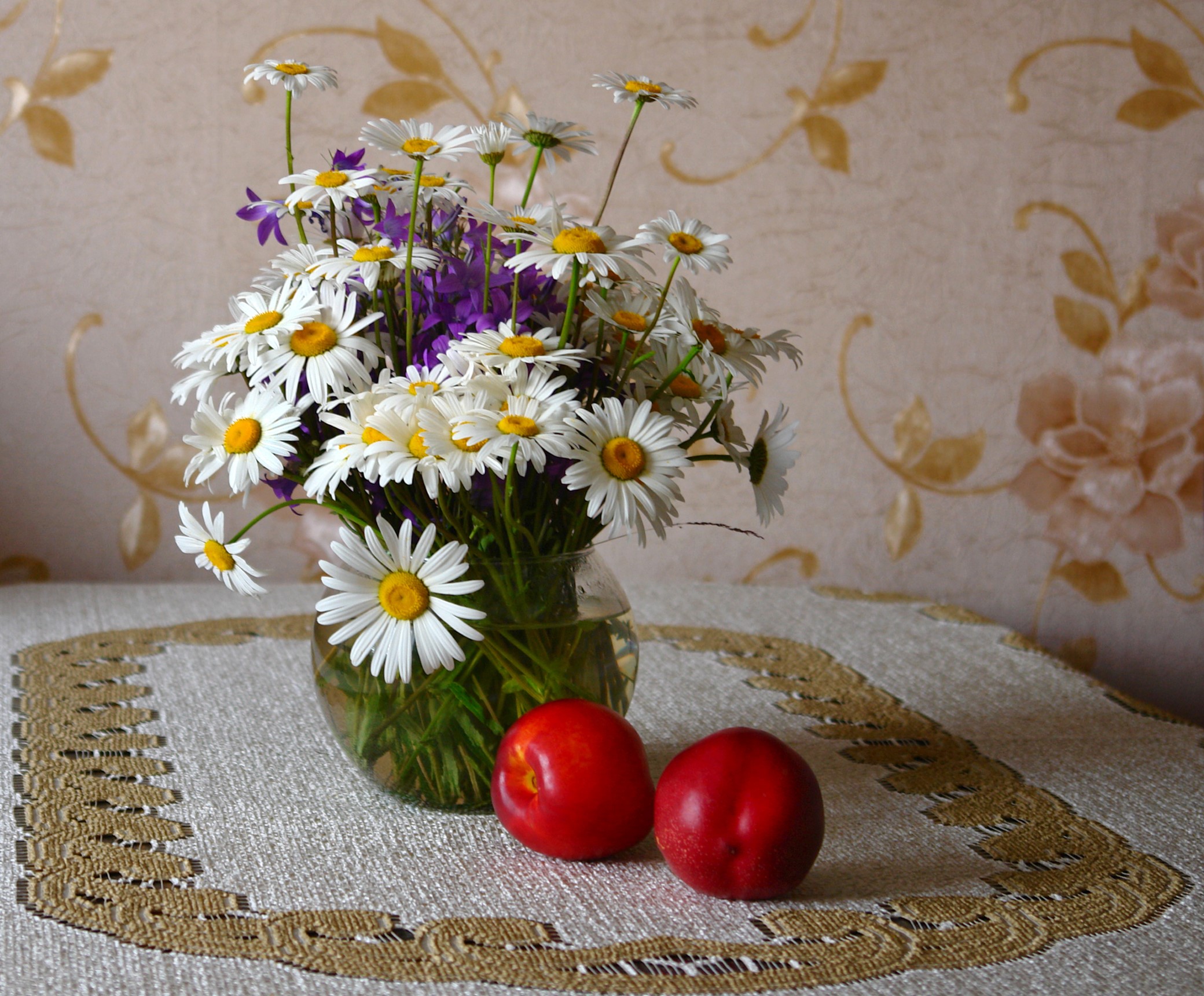 Bright Bouquet of Daisies with Red Peaches on Table HD Wallpaper