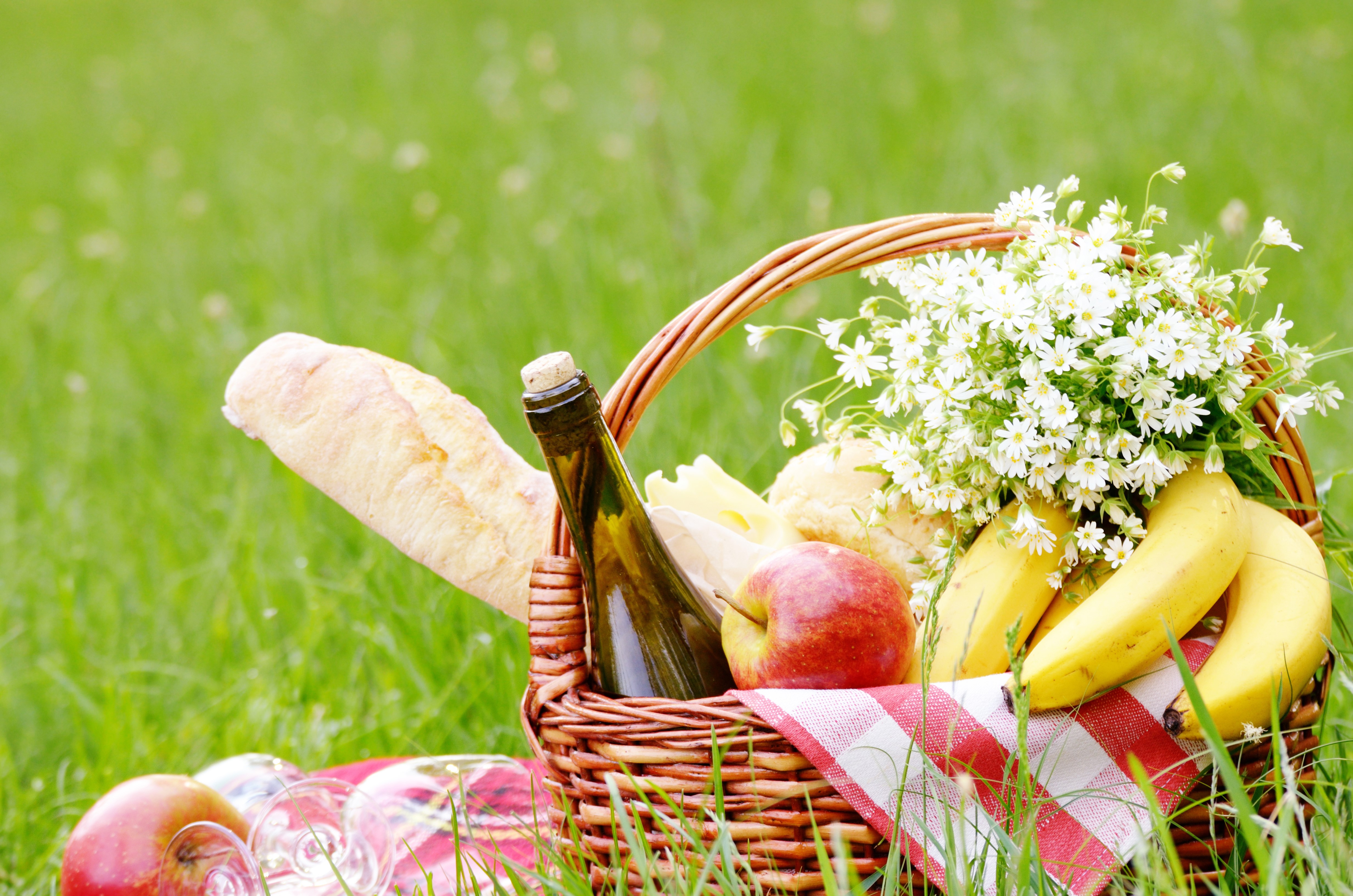 Picnic basket with food and flowers on grass HD Wallpaper