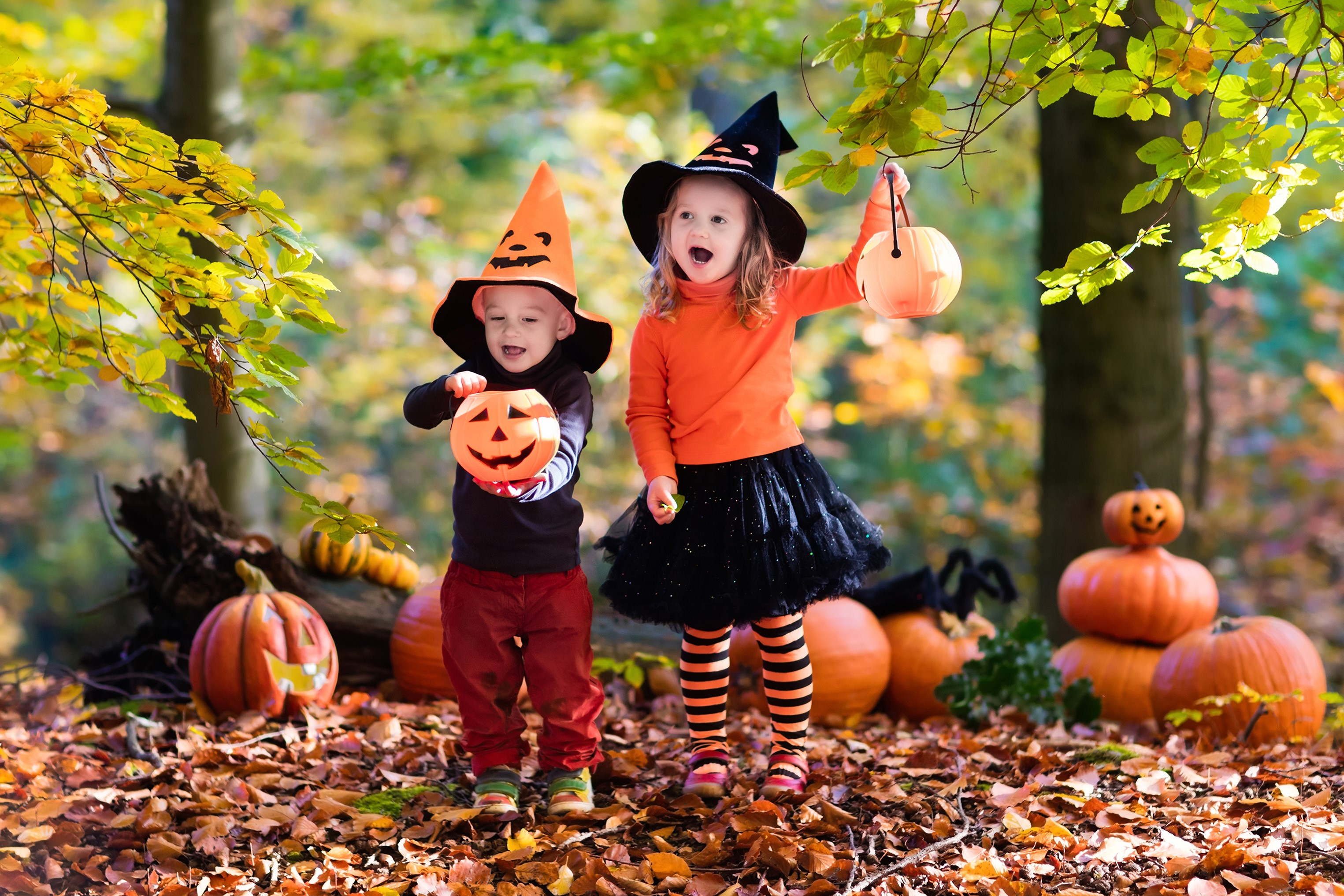 Children in Halloween Costumes with Pumpkins in Autumn Forest HD Wallpaper