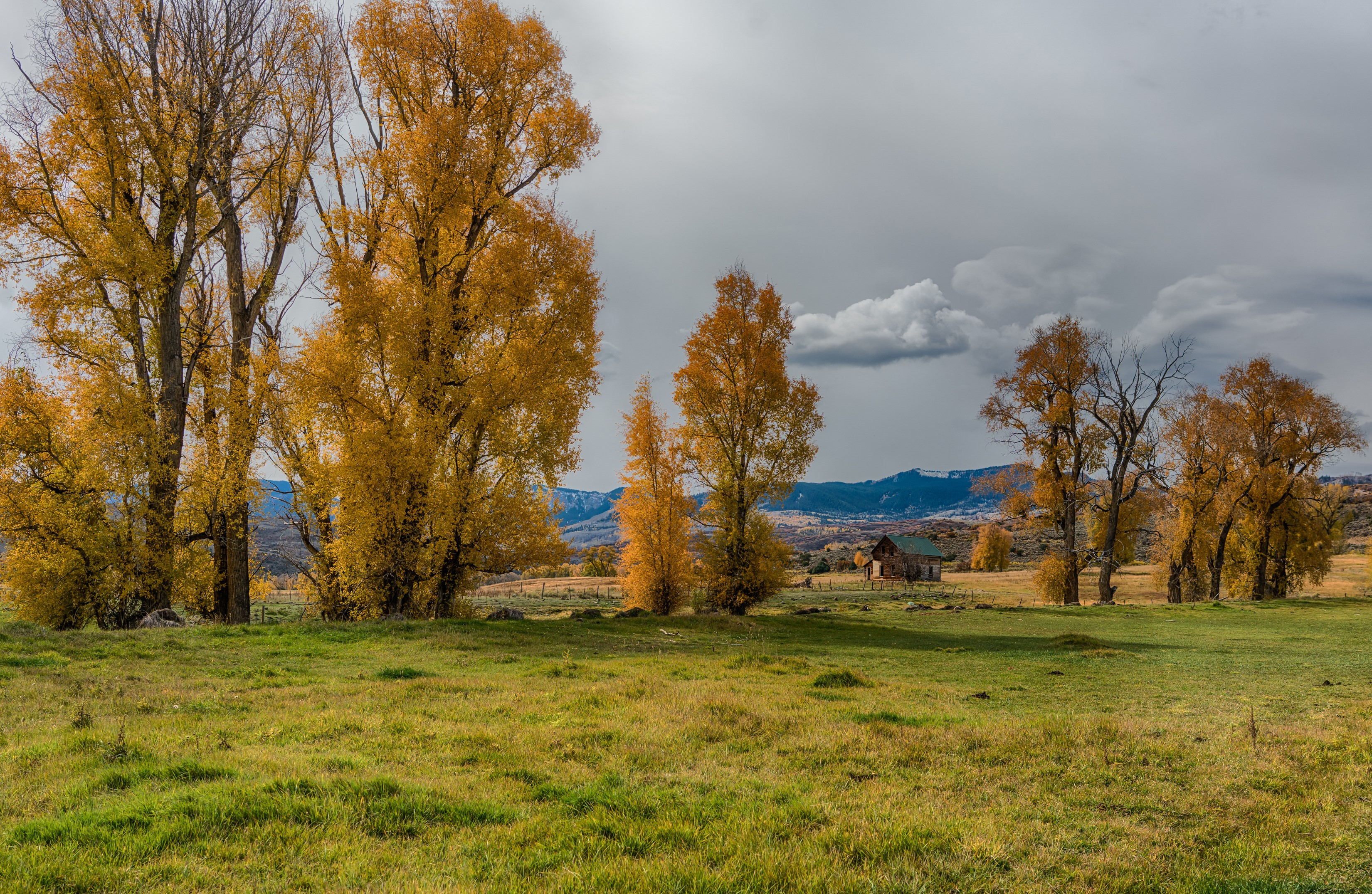 Autumn trees in a field with a barn in Colorado, USA HD Wallpaper