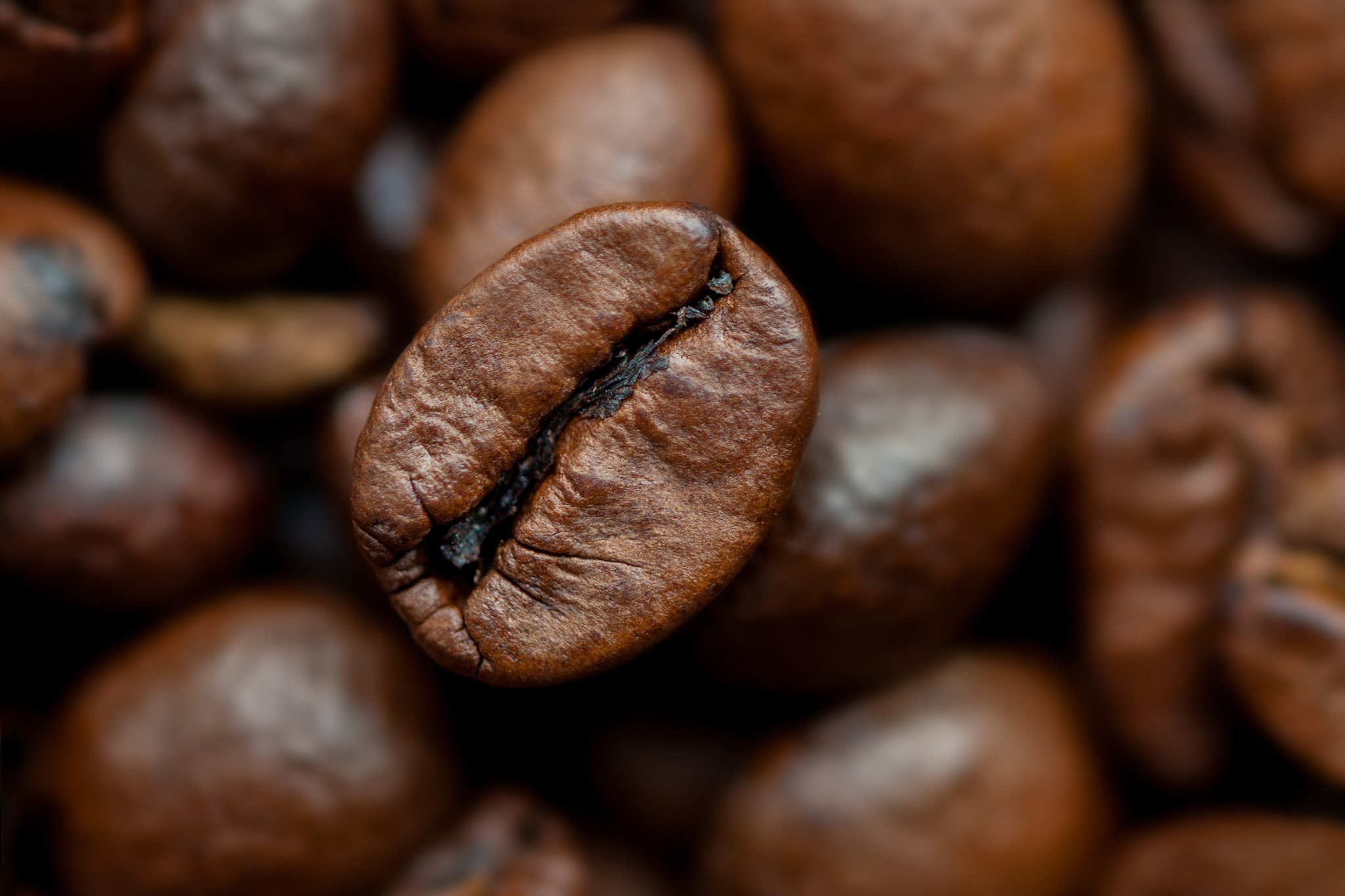 Macro shot of roasted coffee beans HD Wallpaper