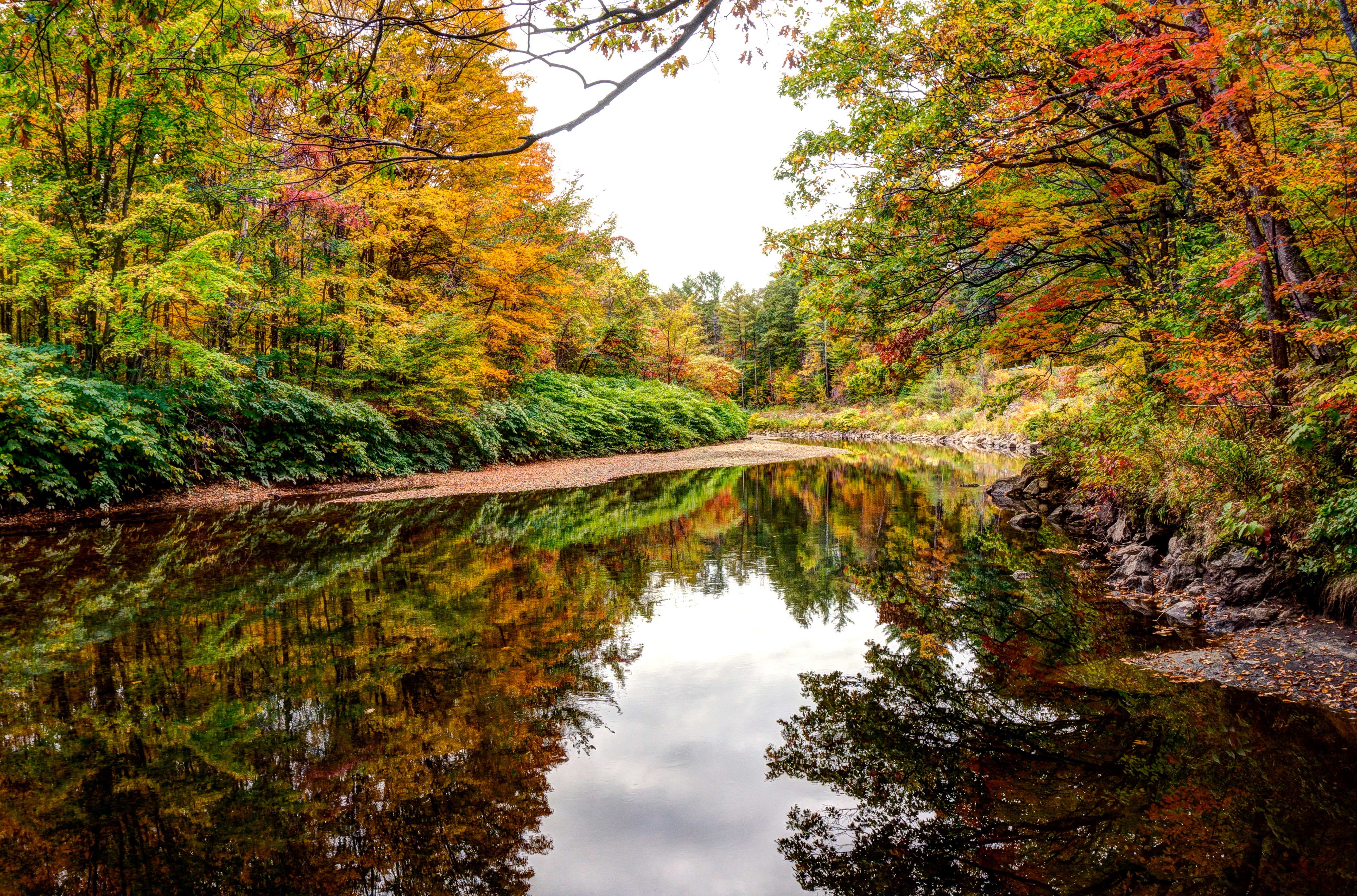 Autumn forest reflected in Baker River, Rumney, New Hampshire HD Wallpaper