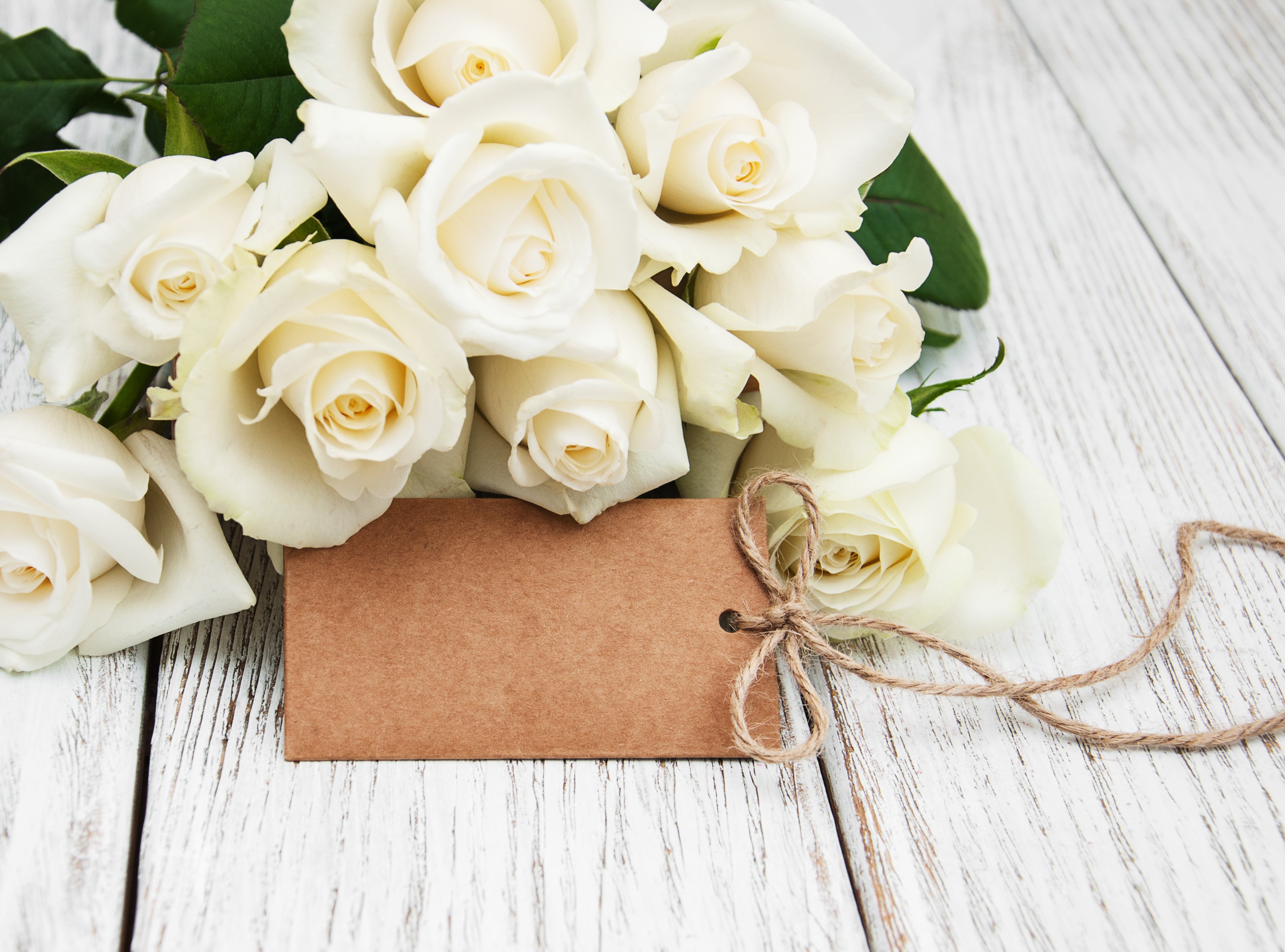 White roses with a blank tag on a wooden surface HD Wallpaper