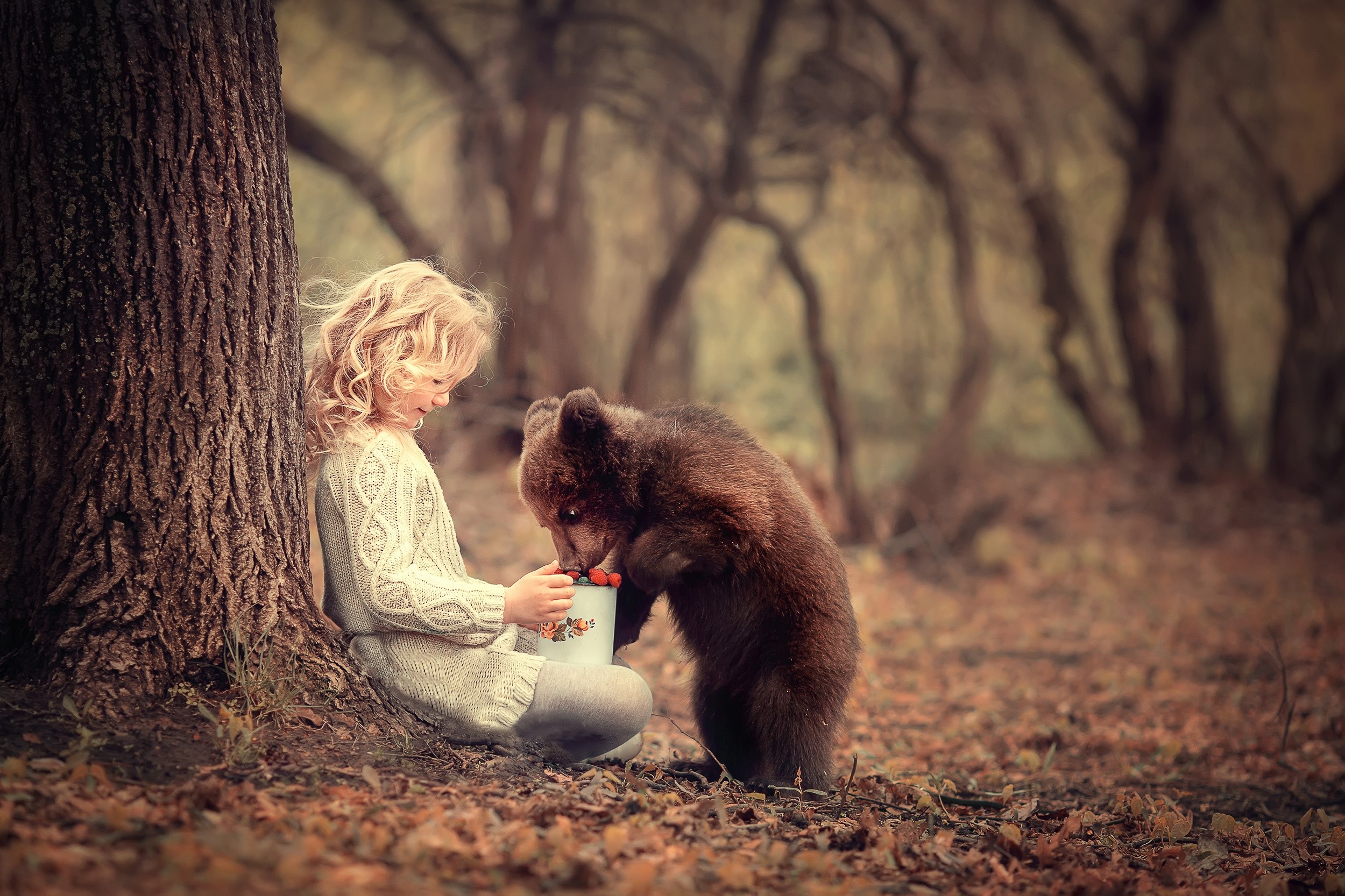 Girl feeding a bear cub by a tree HD Wallpaper