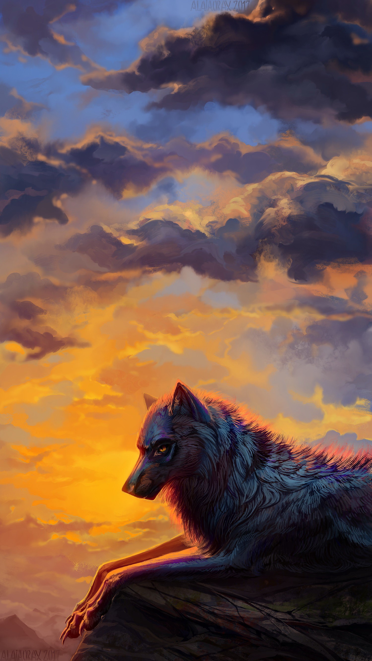 Wolf sitting on a rock during sunset HD Phone Wallpaper