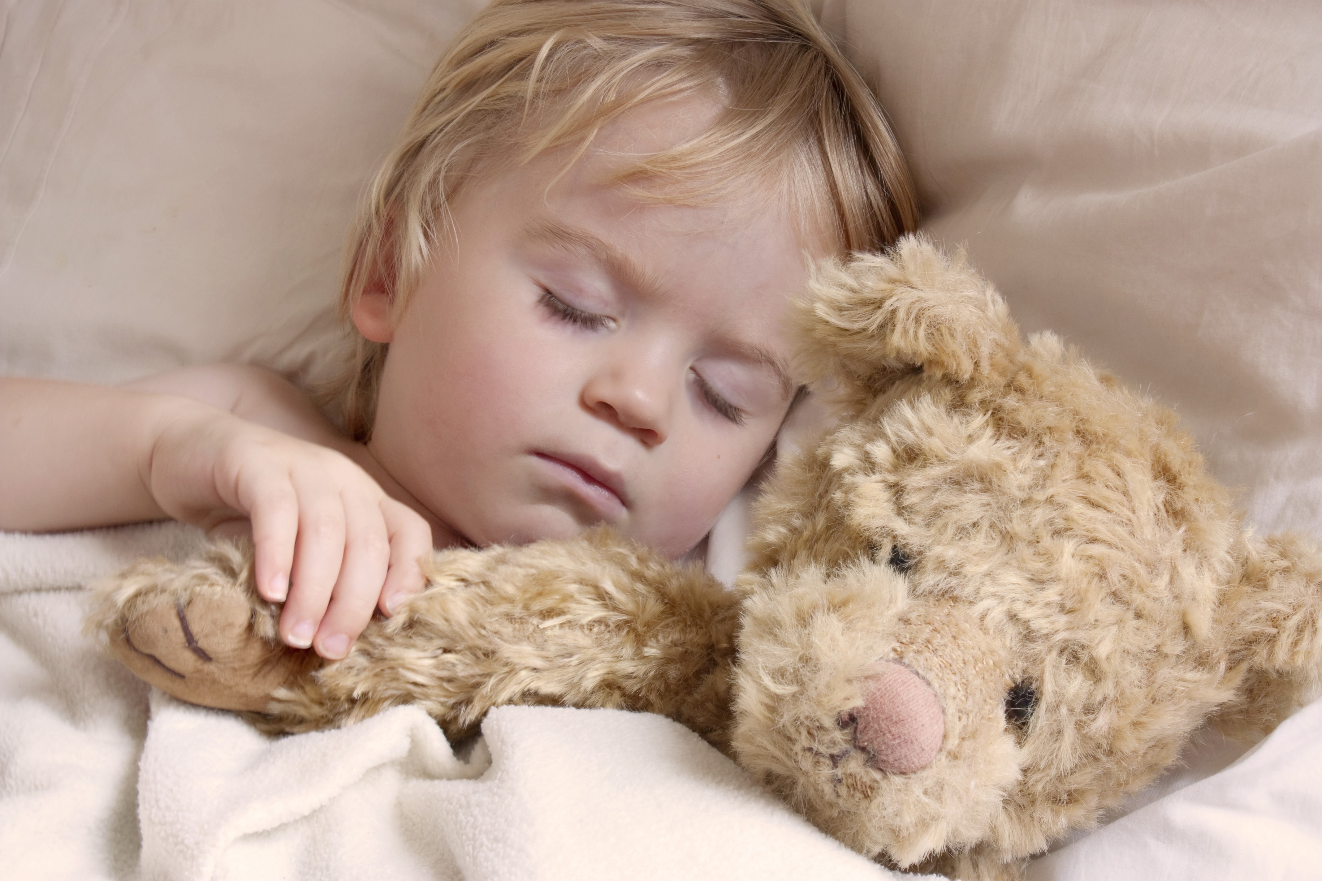 Child sleeping with teddy bear HD Wallpaper
