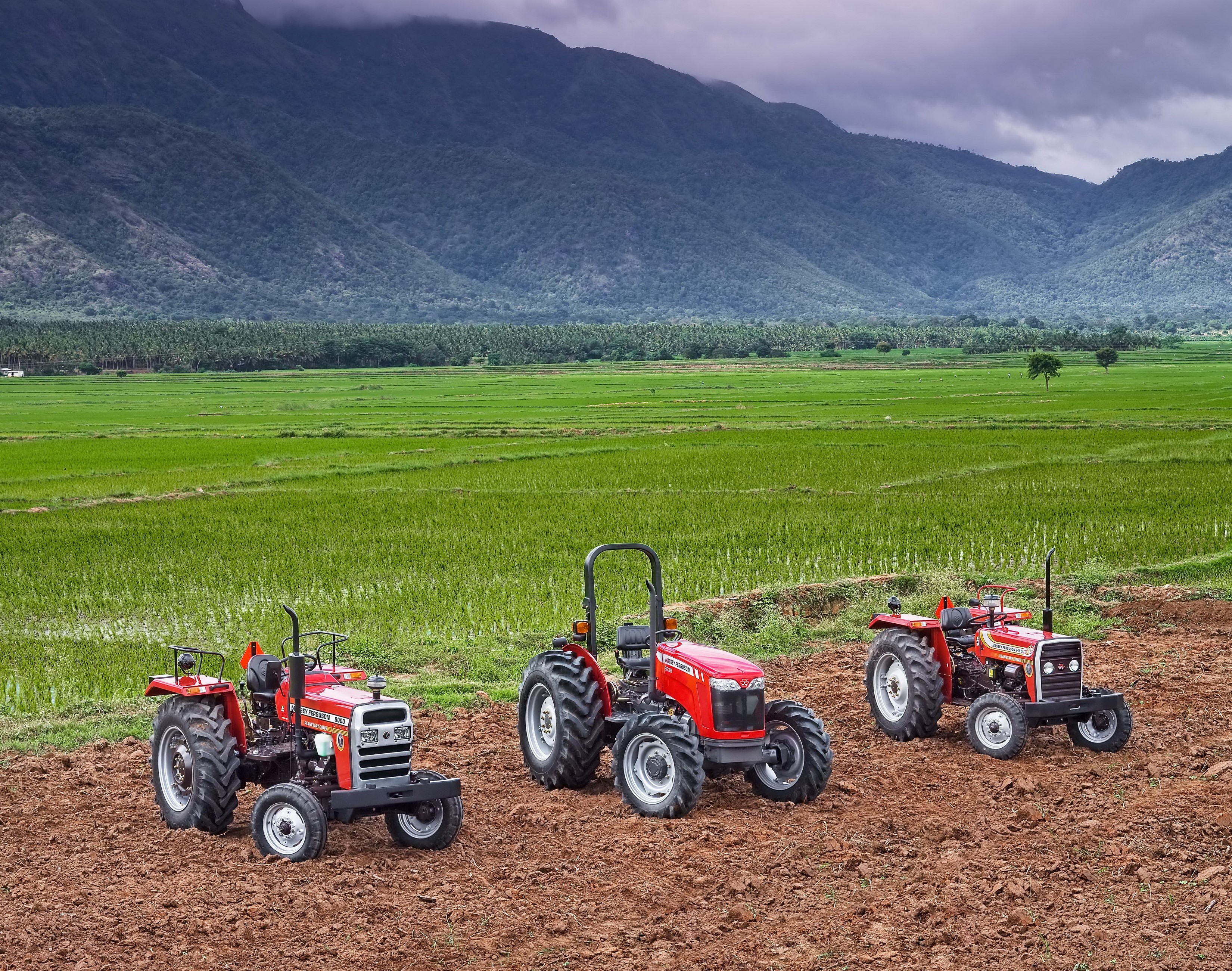 Three Massey Ferguson tractors in a field with mountains HD Wallpaper
