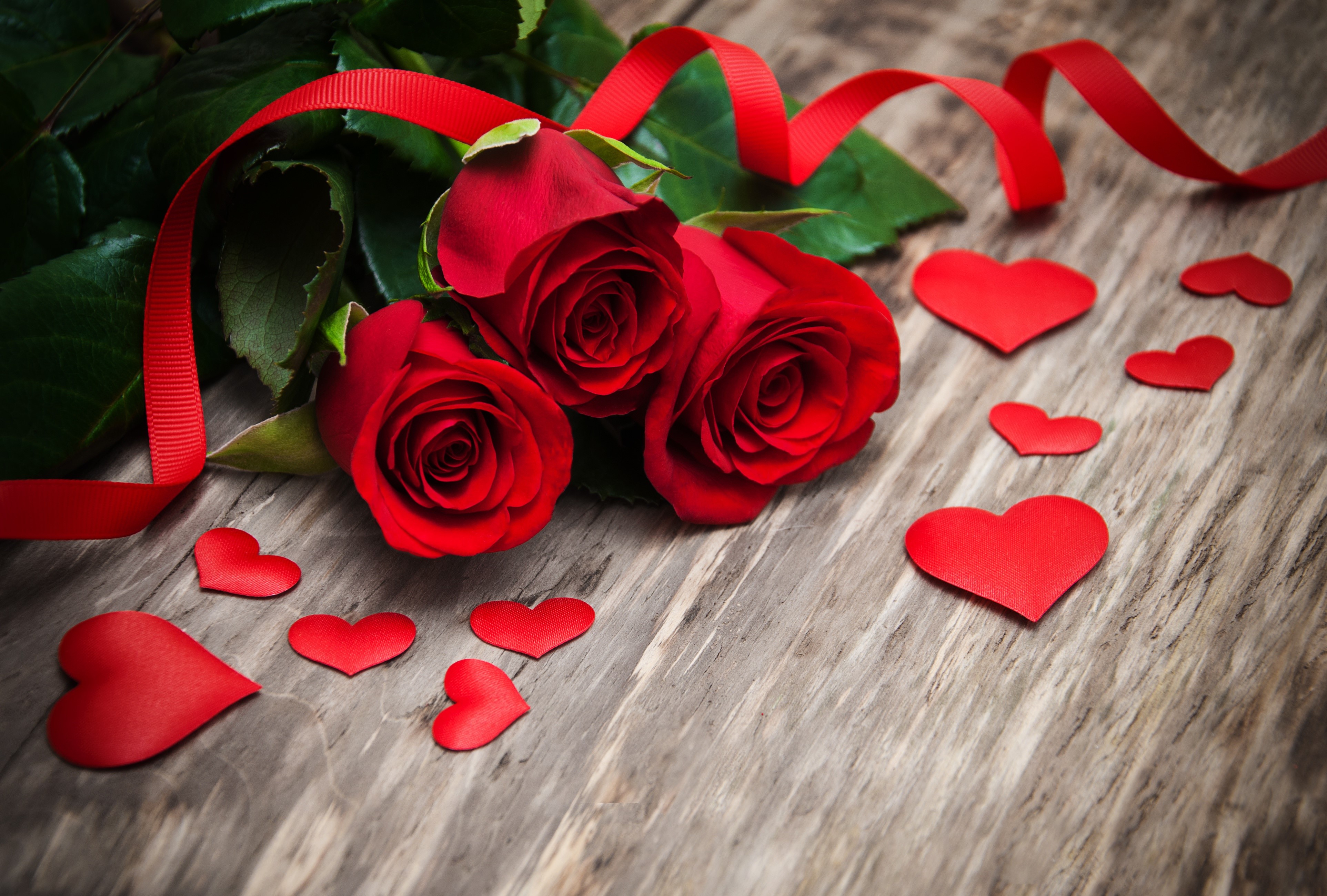 Three Red Roses with Ribbon and Hearts HD Wallpaper