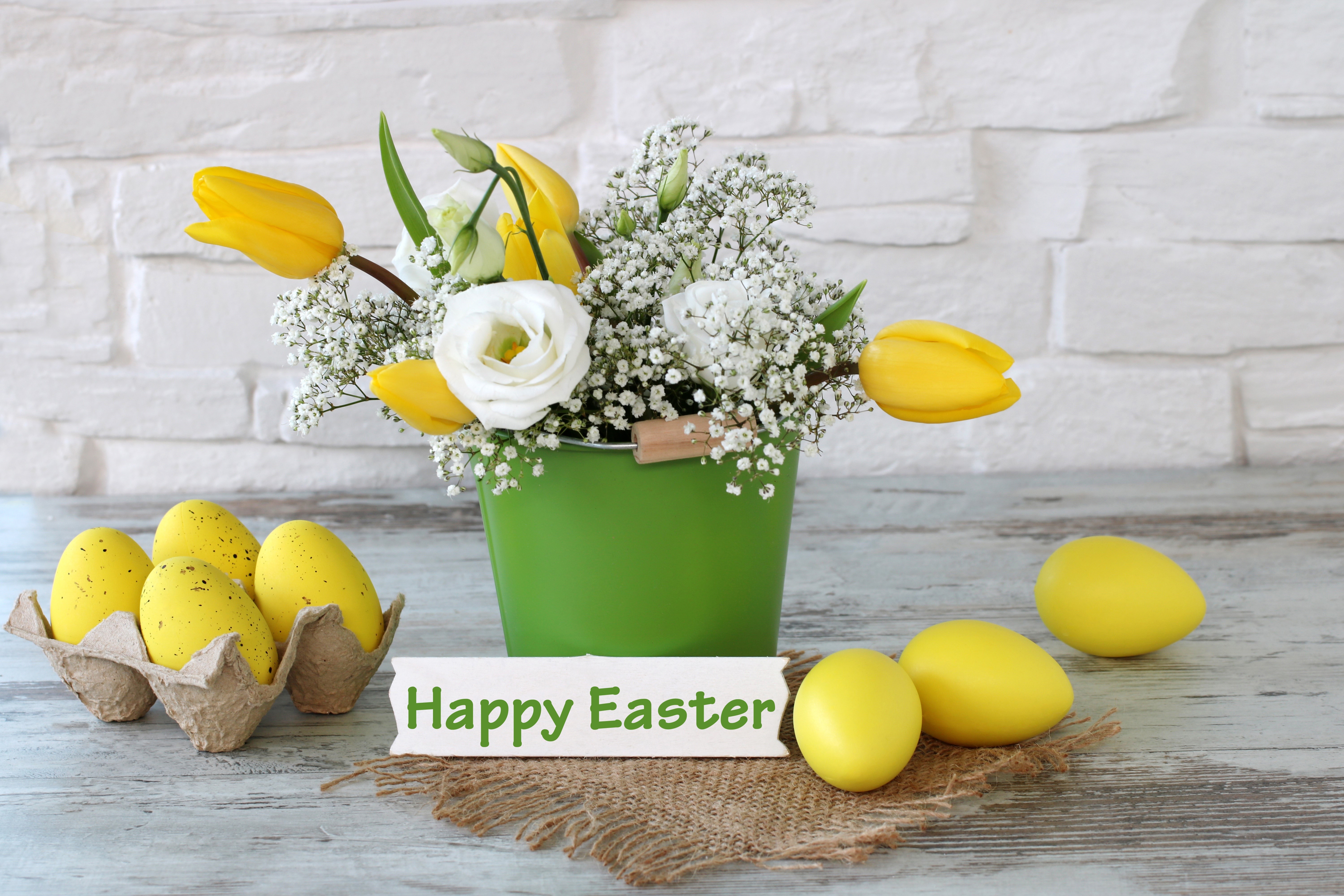 Easter Tulips and Eggs in a Flowerpot HD Wallpaper