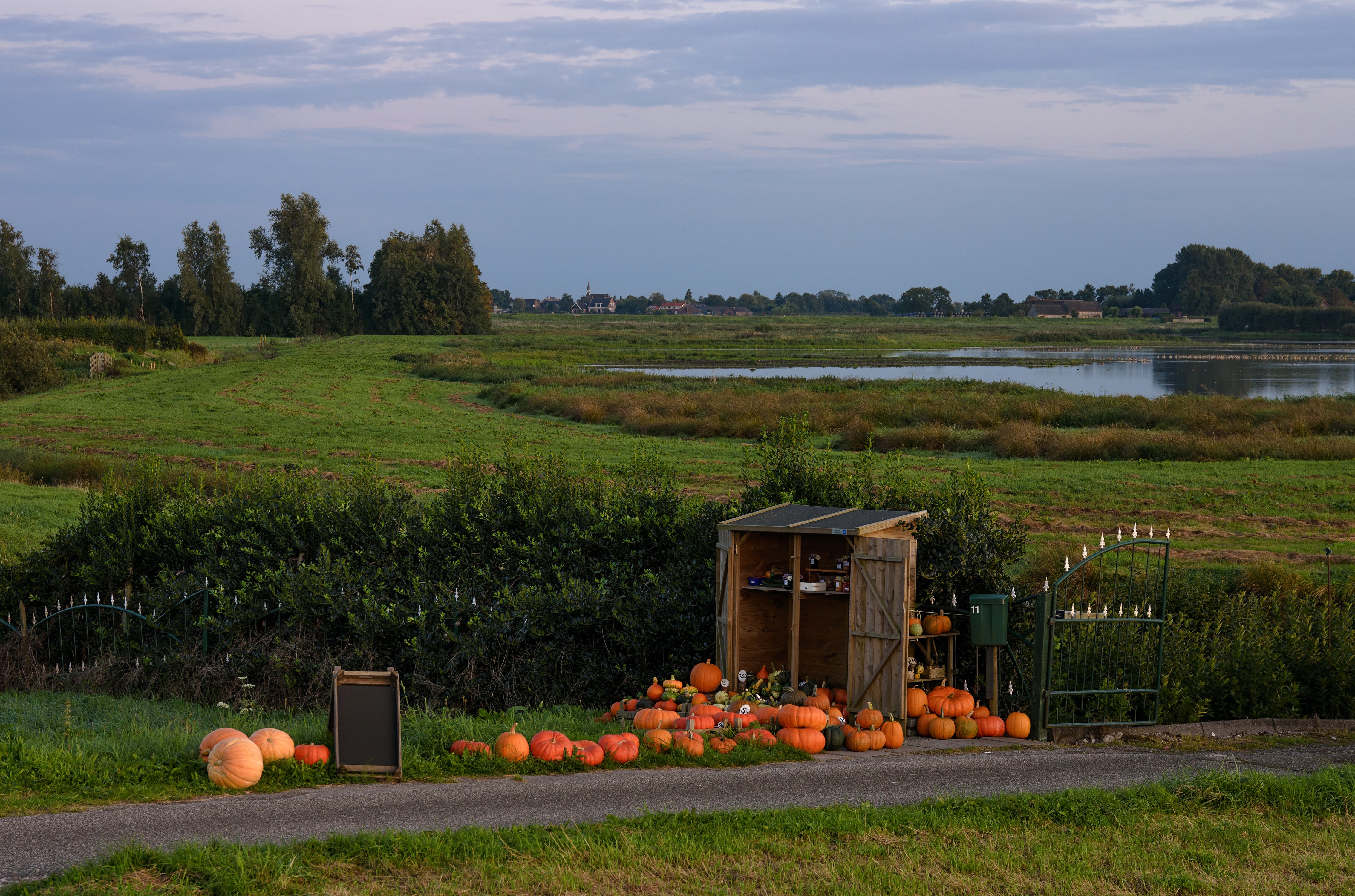 Pumpkins for sale at a roadside stand in the Netherlands HD Wallpaper