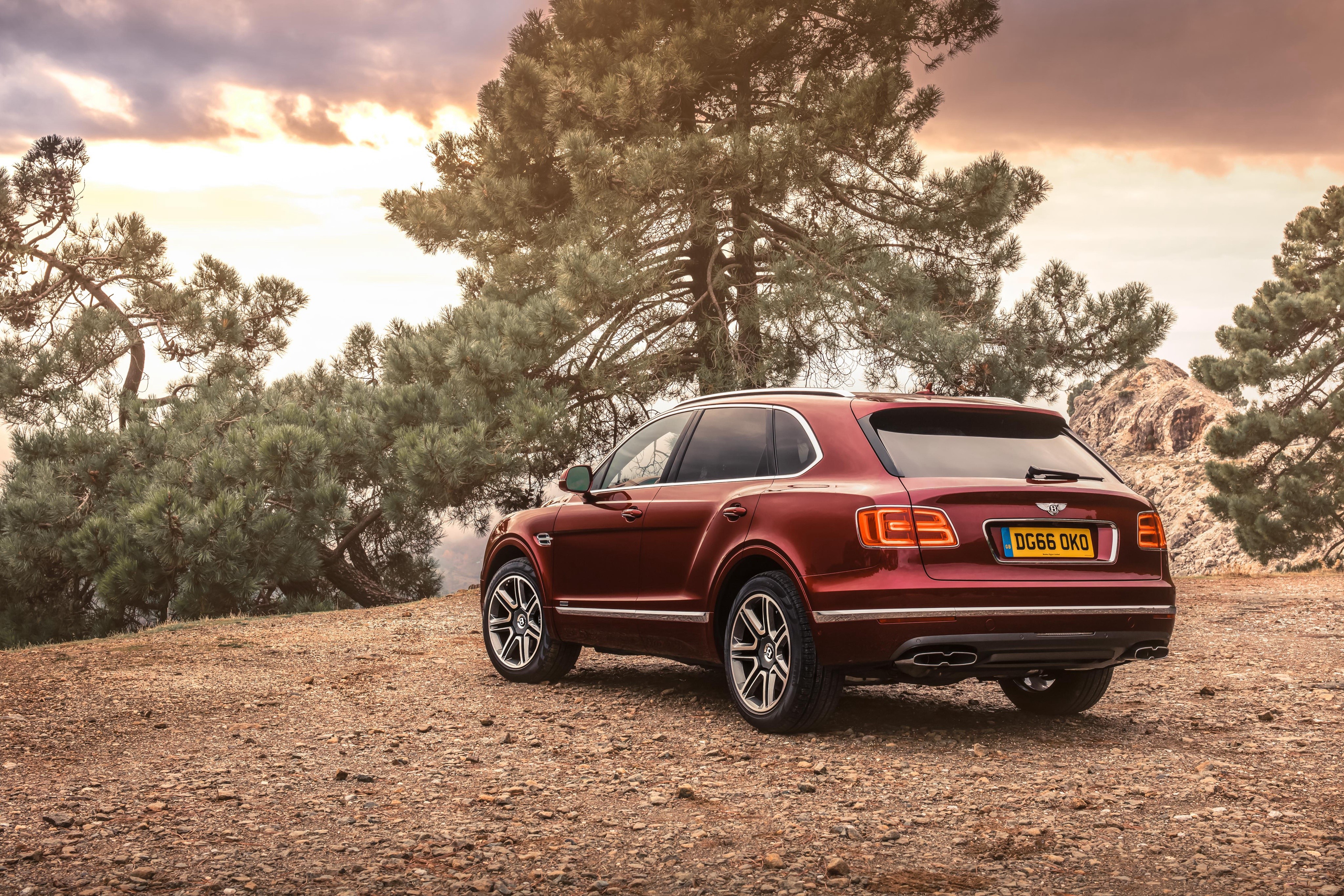 Bentley Bentayga wine color back view HD Wallpaper