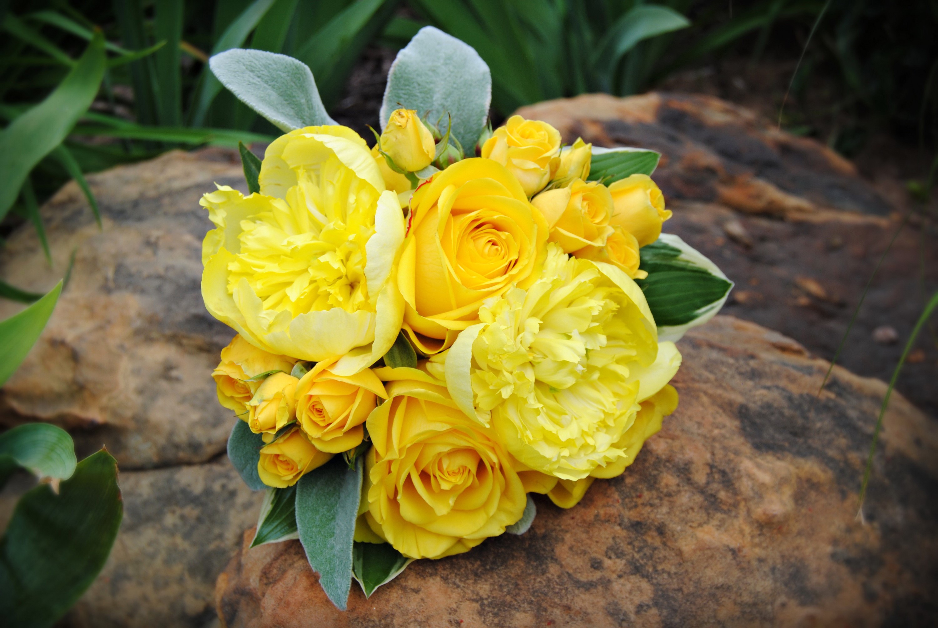 Yellow roses and peonies bouquet on a rock HD Wallpaper