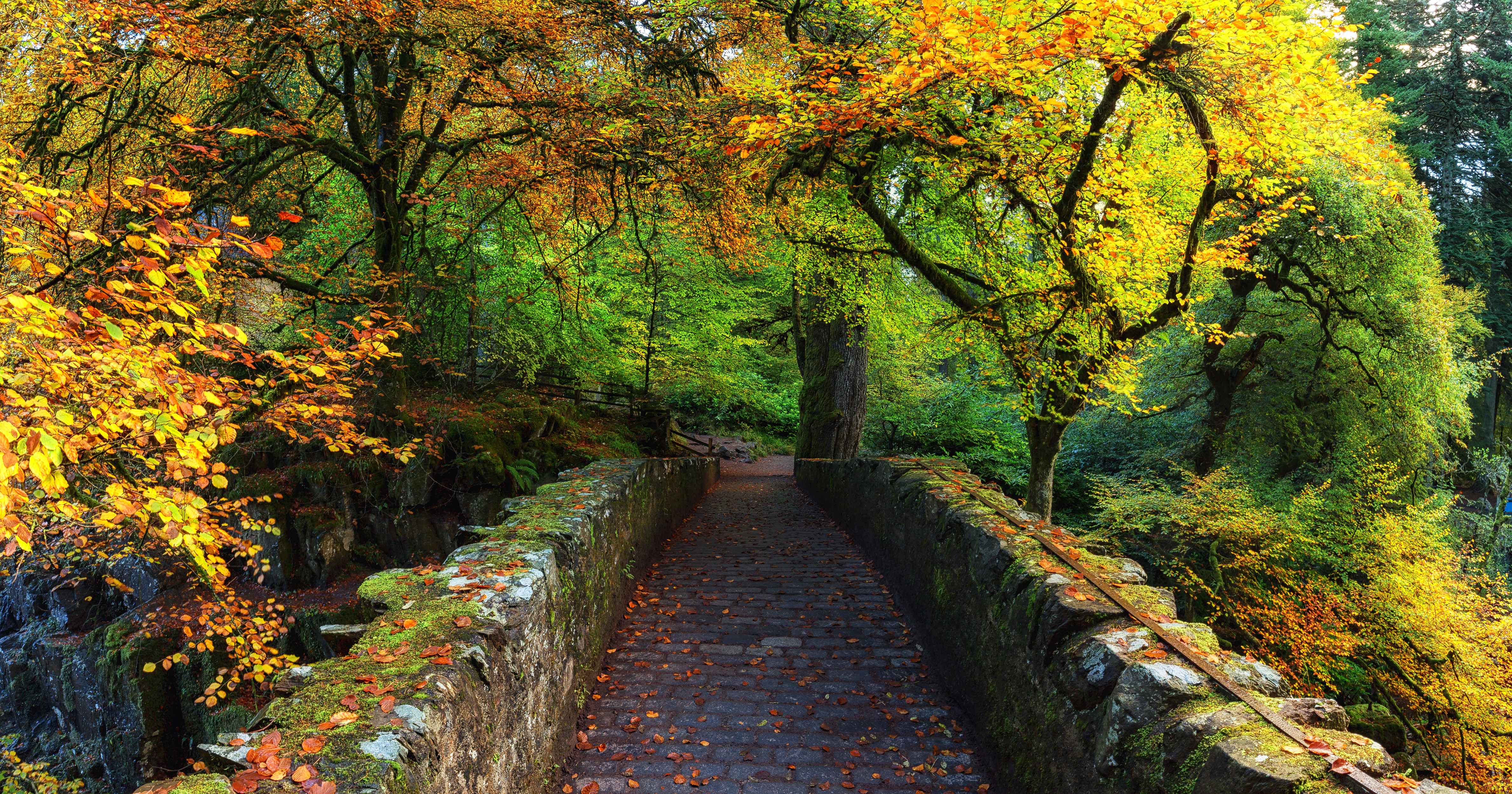 Autumn bridge in Dunkeld, Scotland HD Wallpaper