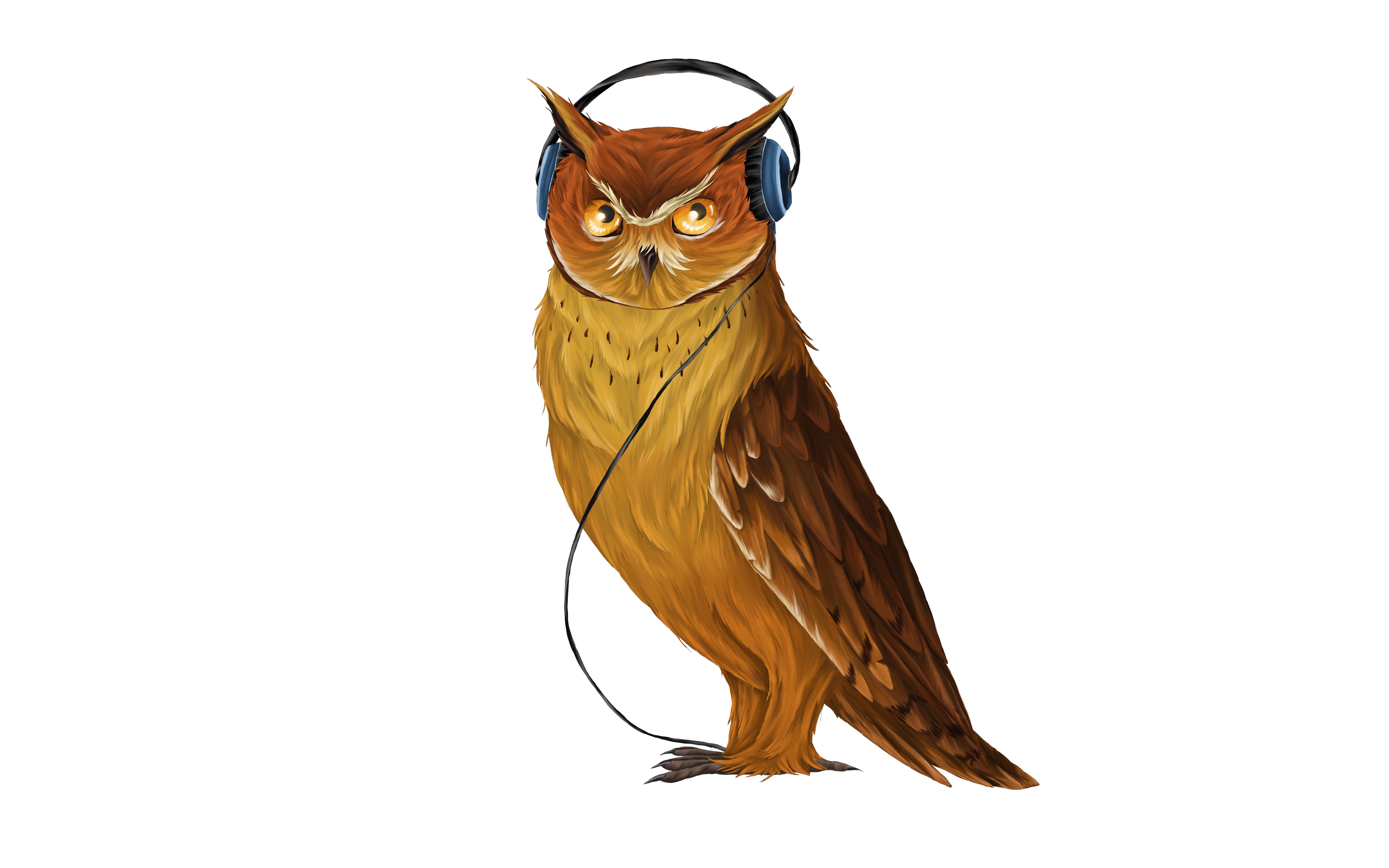 Painting of an owl wearing headphones HD Wallpaper