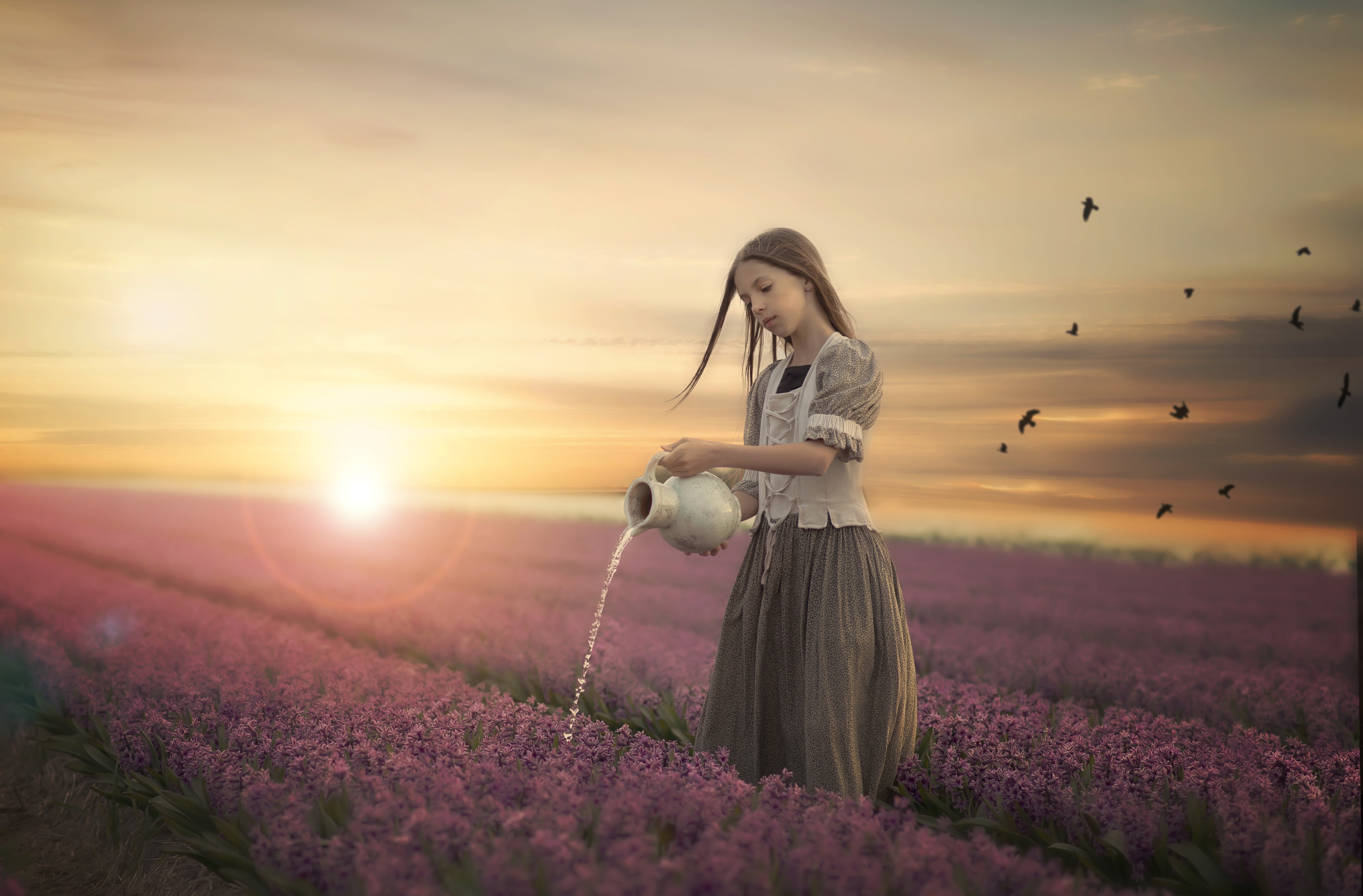 Girl watering flowers in a field at sunset HD Wallpaper