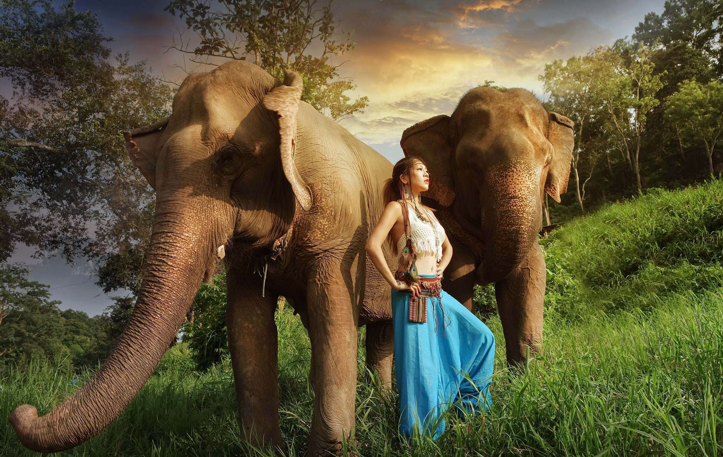 Woman and elephants in a forest HD Wallpaper