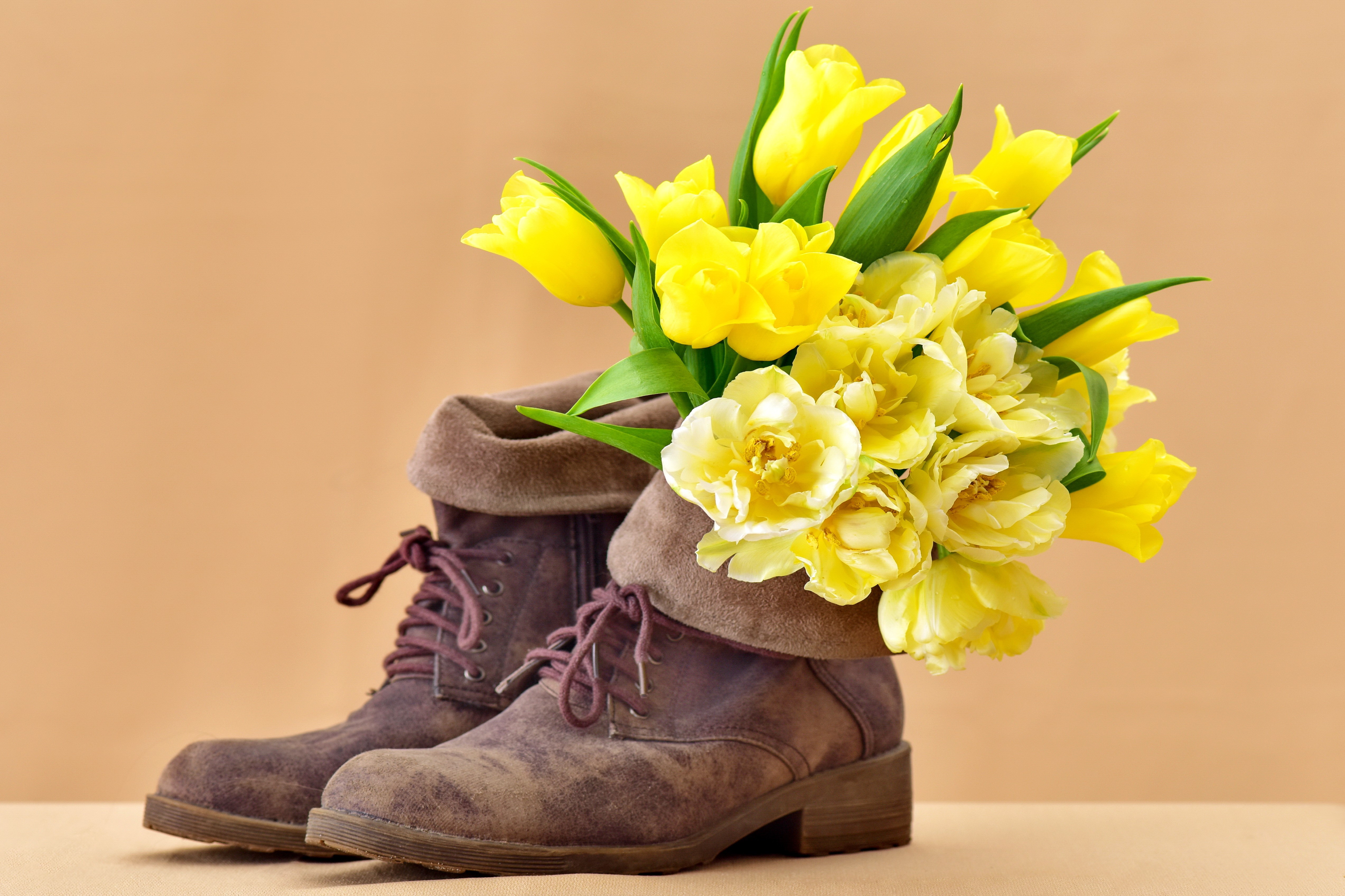 Yellow Tulips in Brown Boots HD Wallpaper