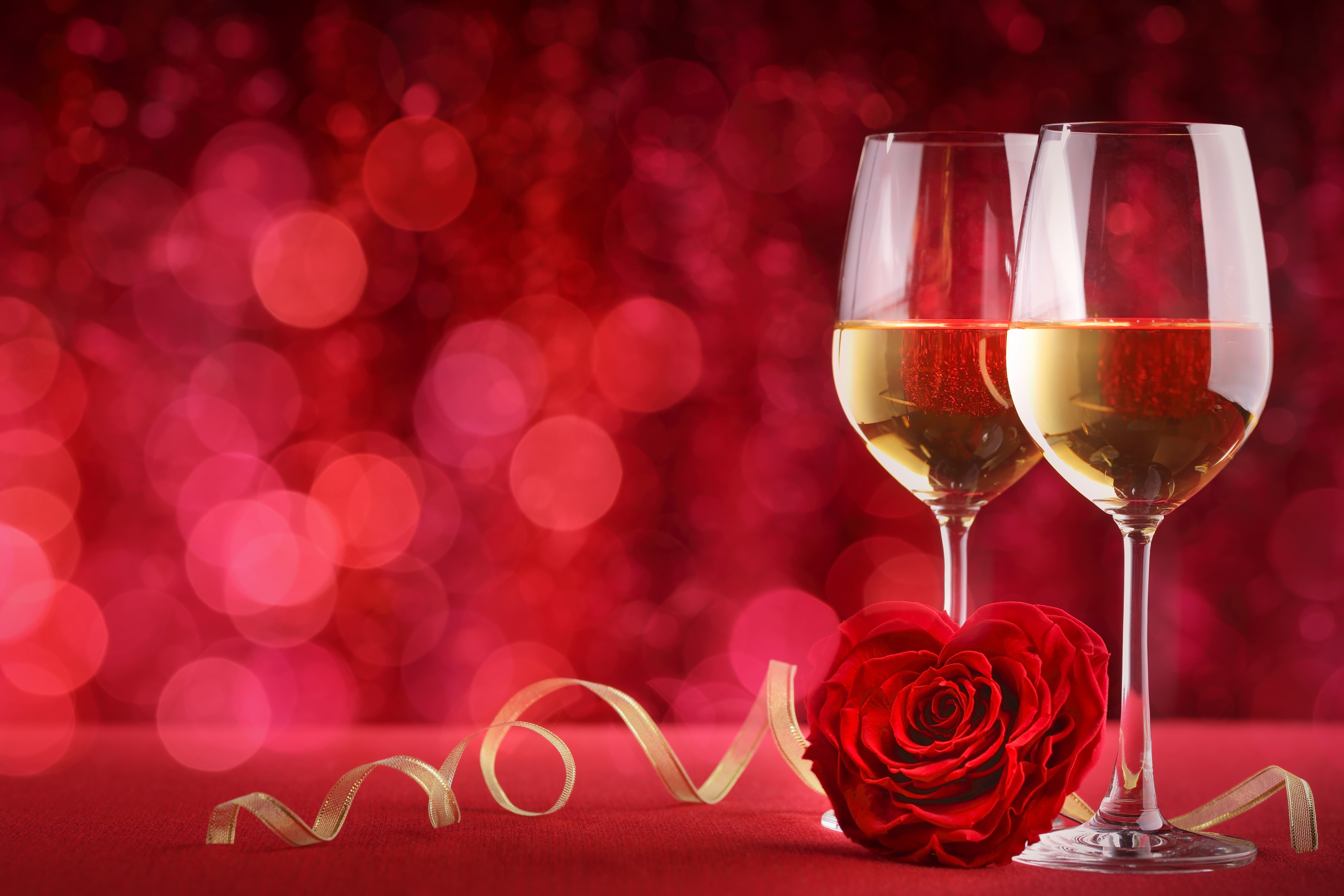 Two glasses of champagne with a rose and ribbon HD Wallpaper