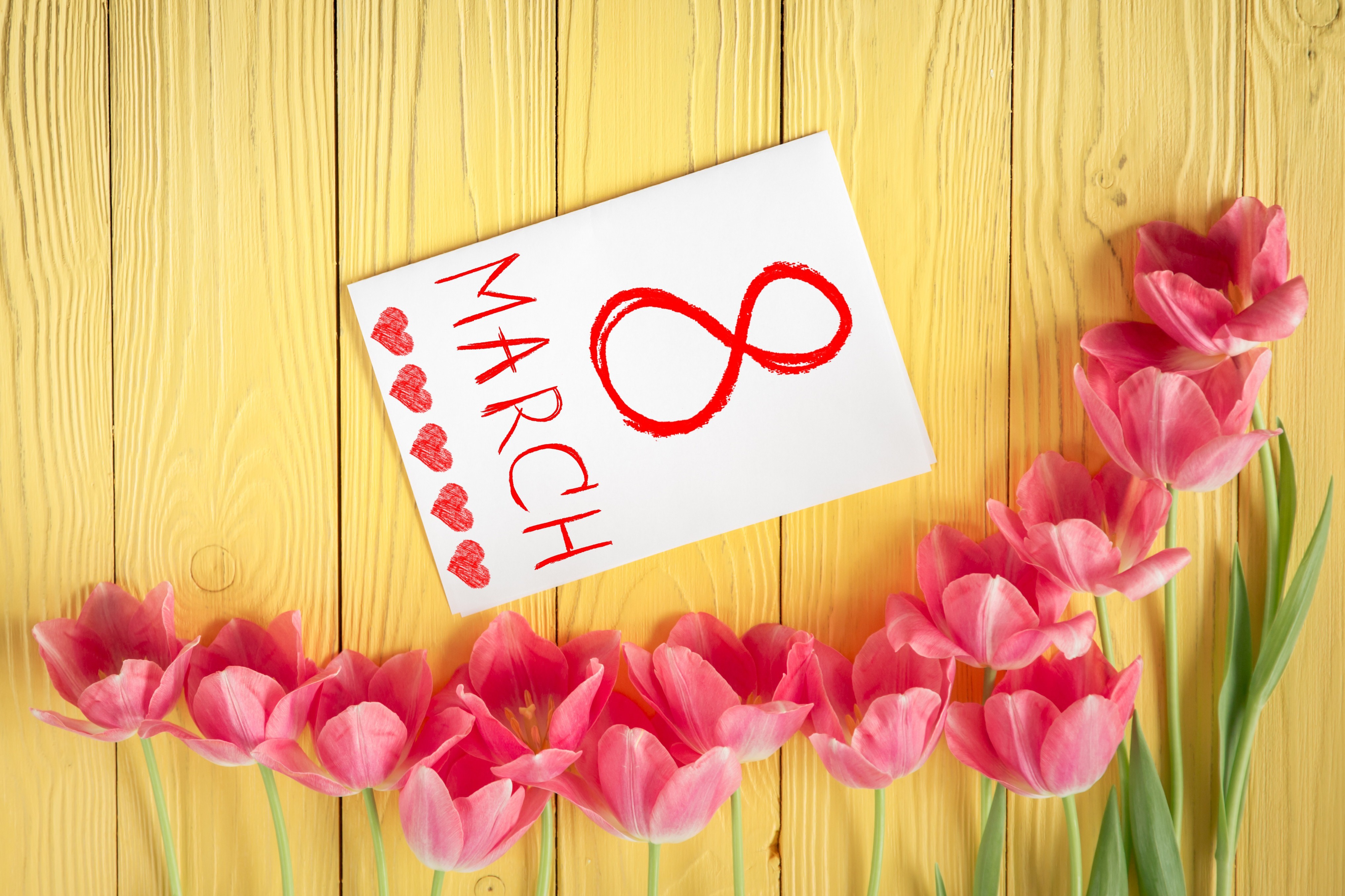 March 8 Tulips Holiday on Wood Planks HD Wallpaper