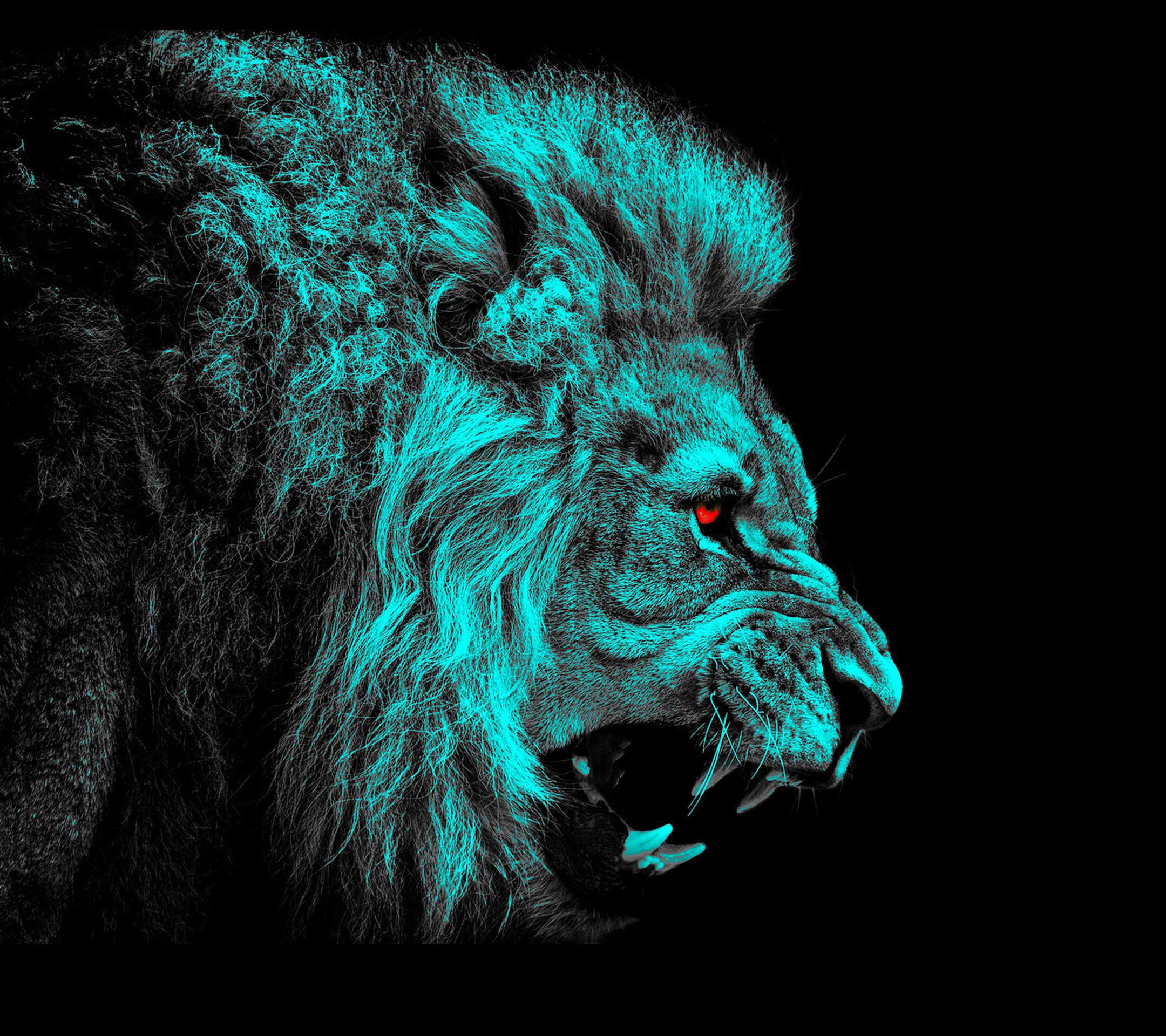 Lion roaring with cyan mane and red eyes on black background HD Wallpaper