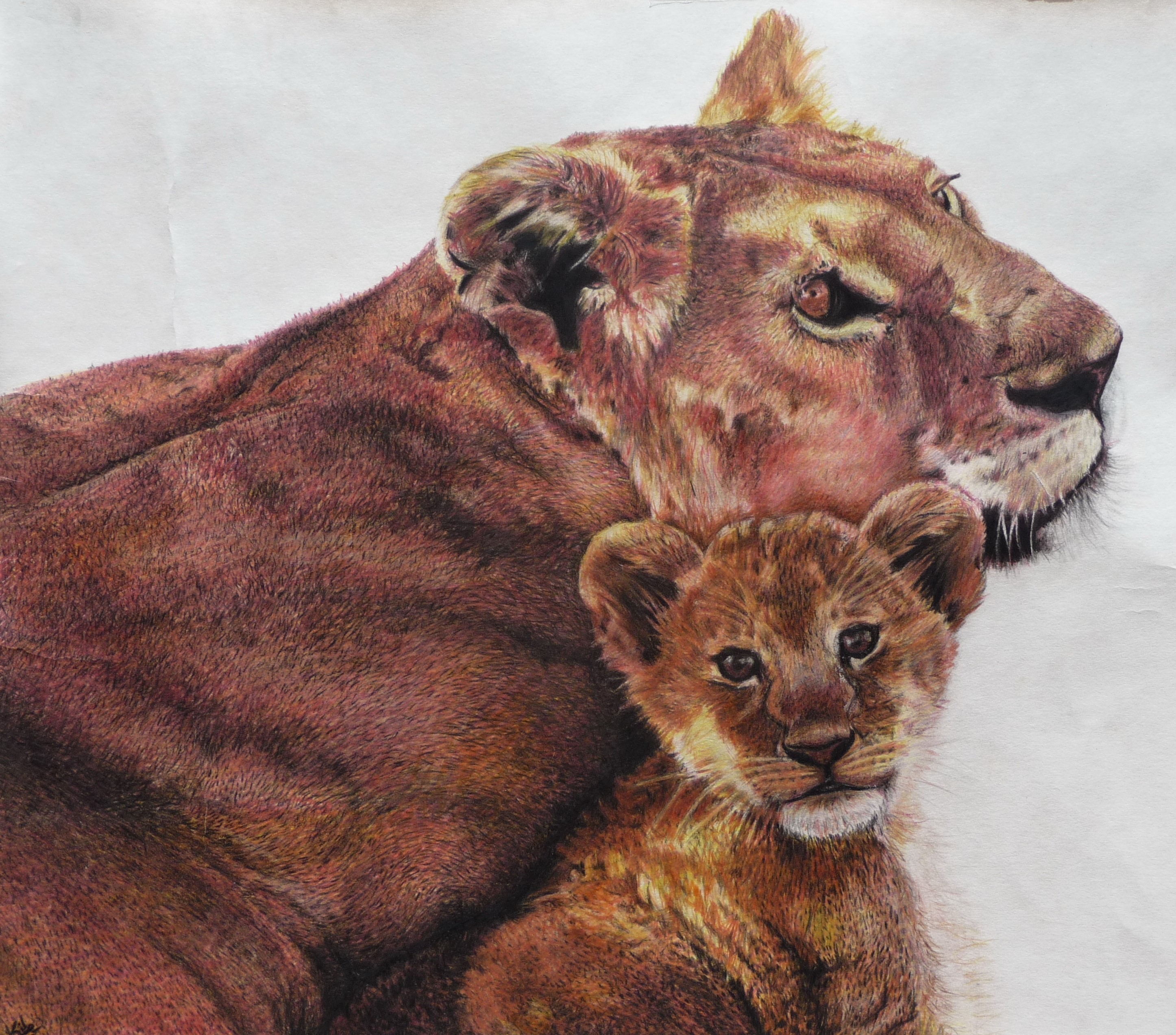 Lioness and cub painting HD Wallpaper