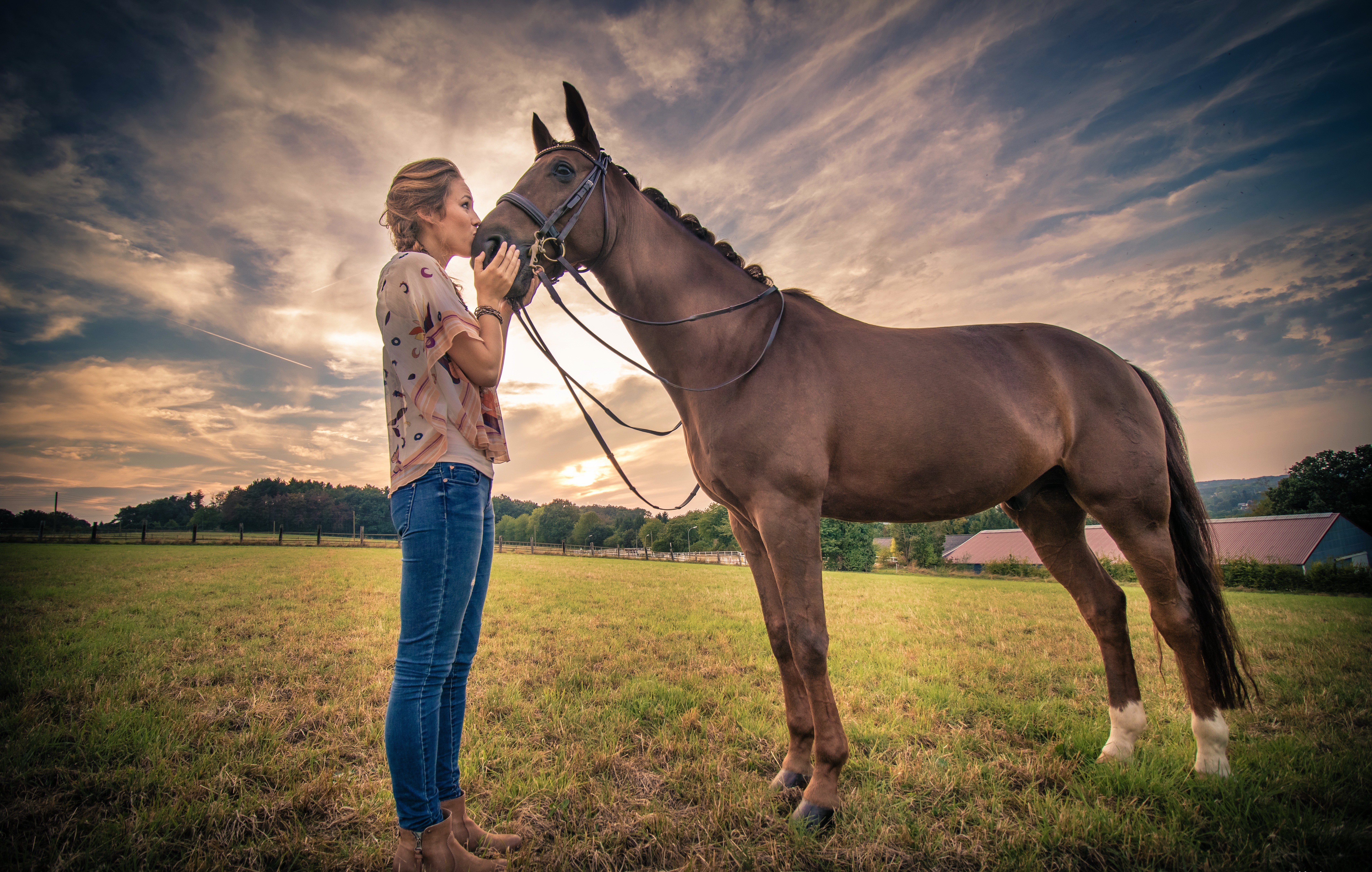Woman kissing a horse in a field at sunset HD Wallpaper
