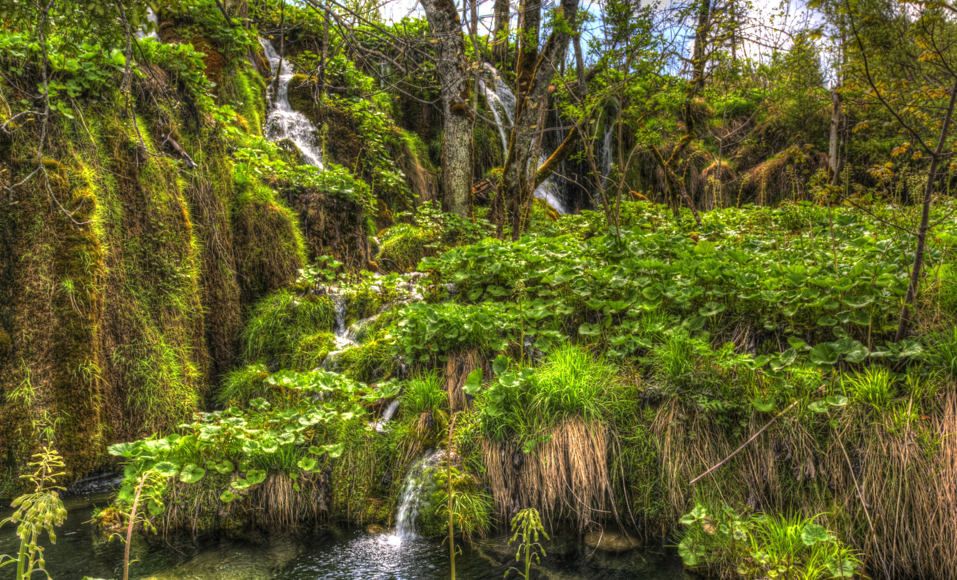 Waterfalls and lush vegetation in Plitvice National Park, Croatia HD Wallpaper