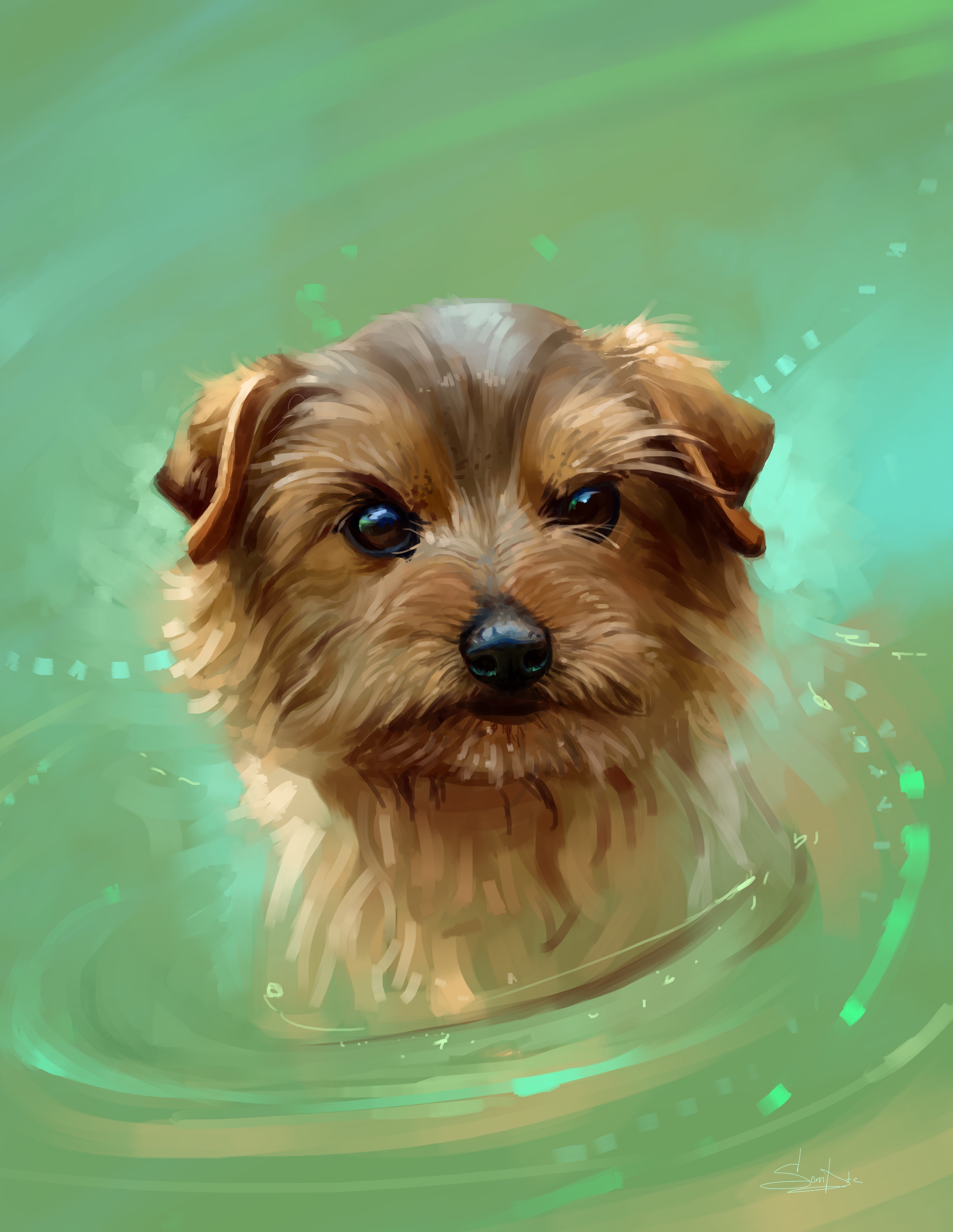 Painting of a Yorkshire Terrier in water HD Phone Wallpaper