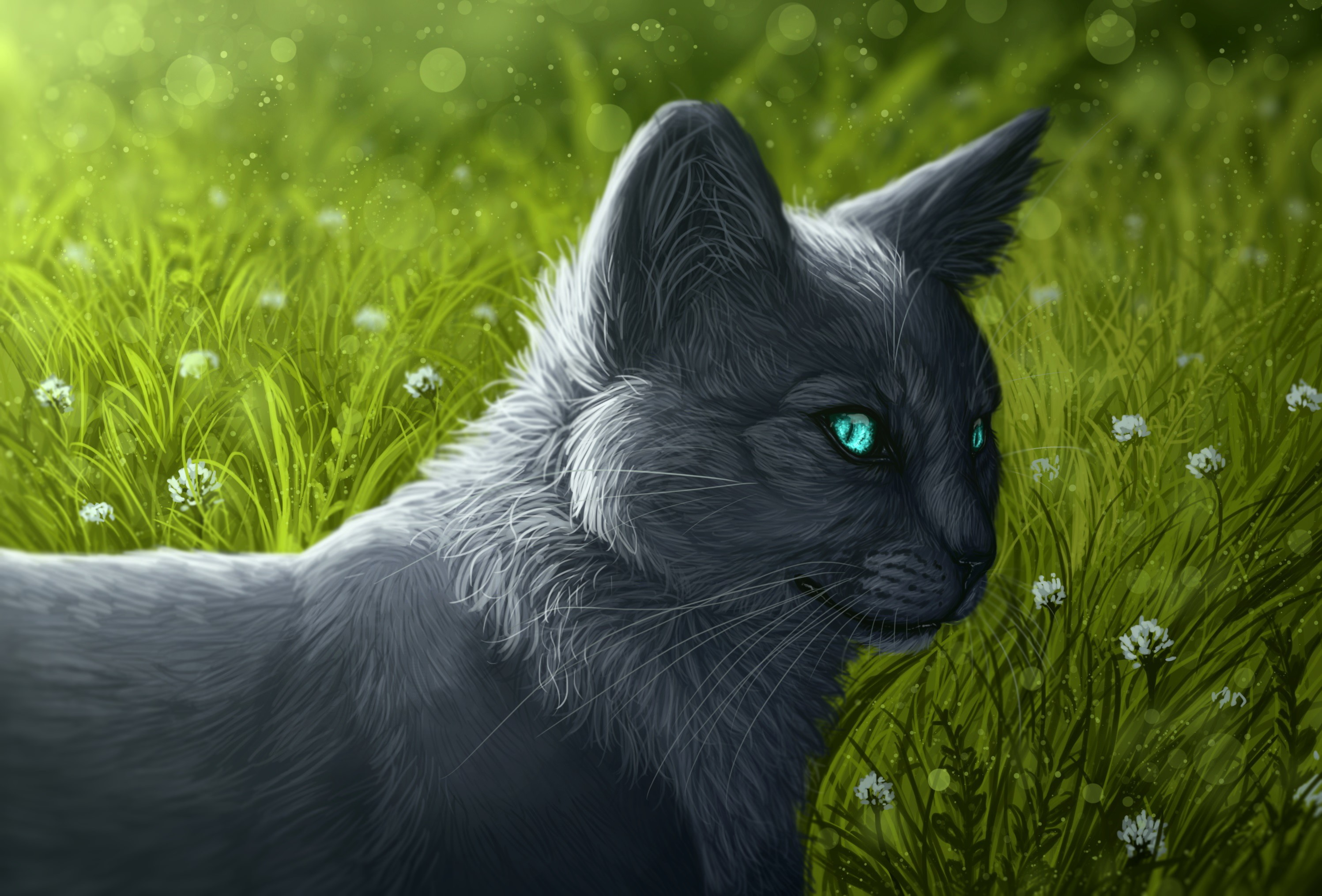 Black cat with bright blue eyes in green grass HD Wallpaper