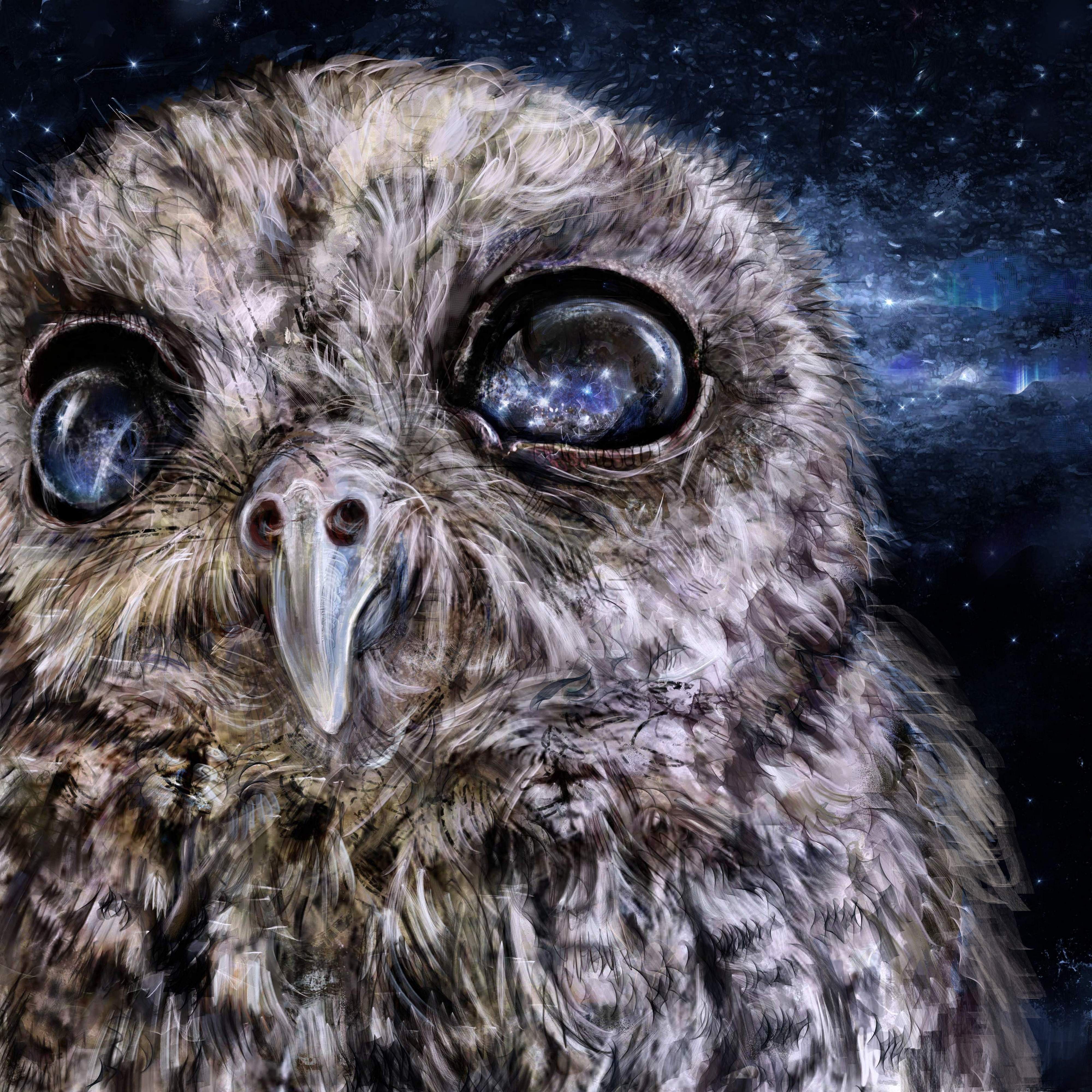 Close-up painting of an owl with cosmos eyes HD Wallpaper