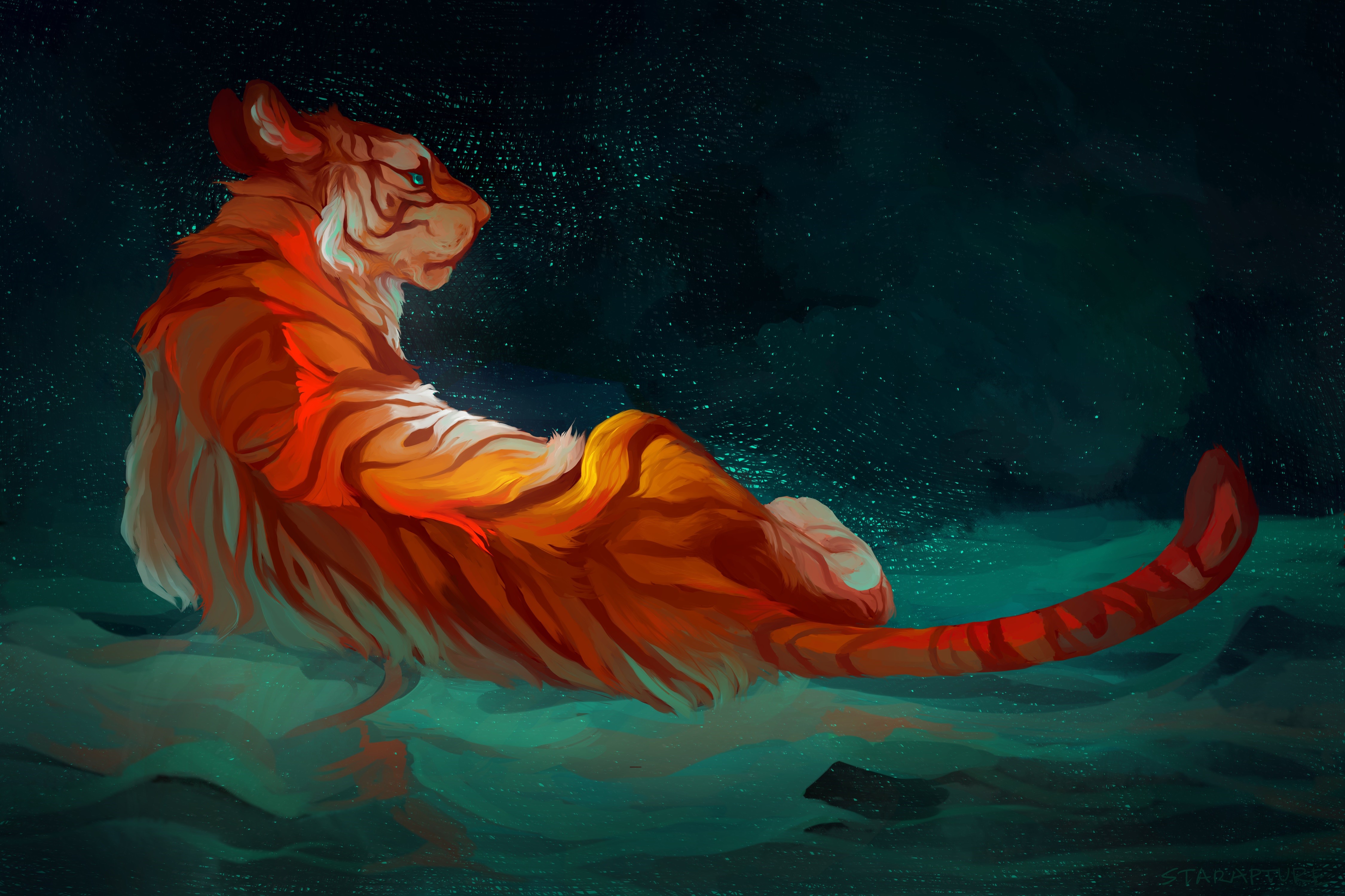Tiger in a starry, dark environment HD Wallpaper