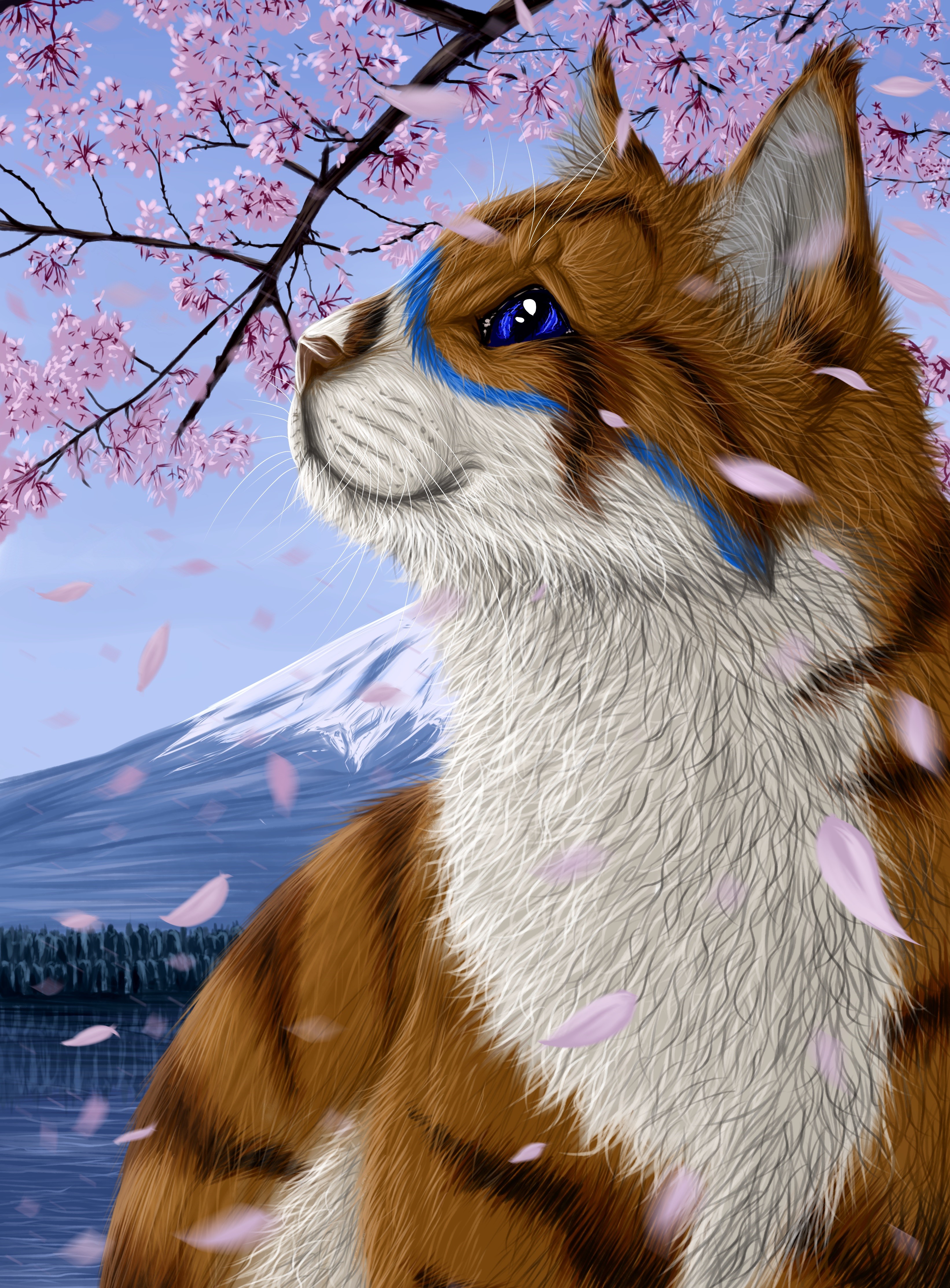 Cat with blue markings near Mount Fuji during cherry blossom season HD Phone Wallpaper