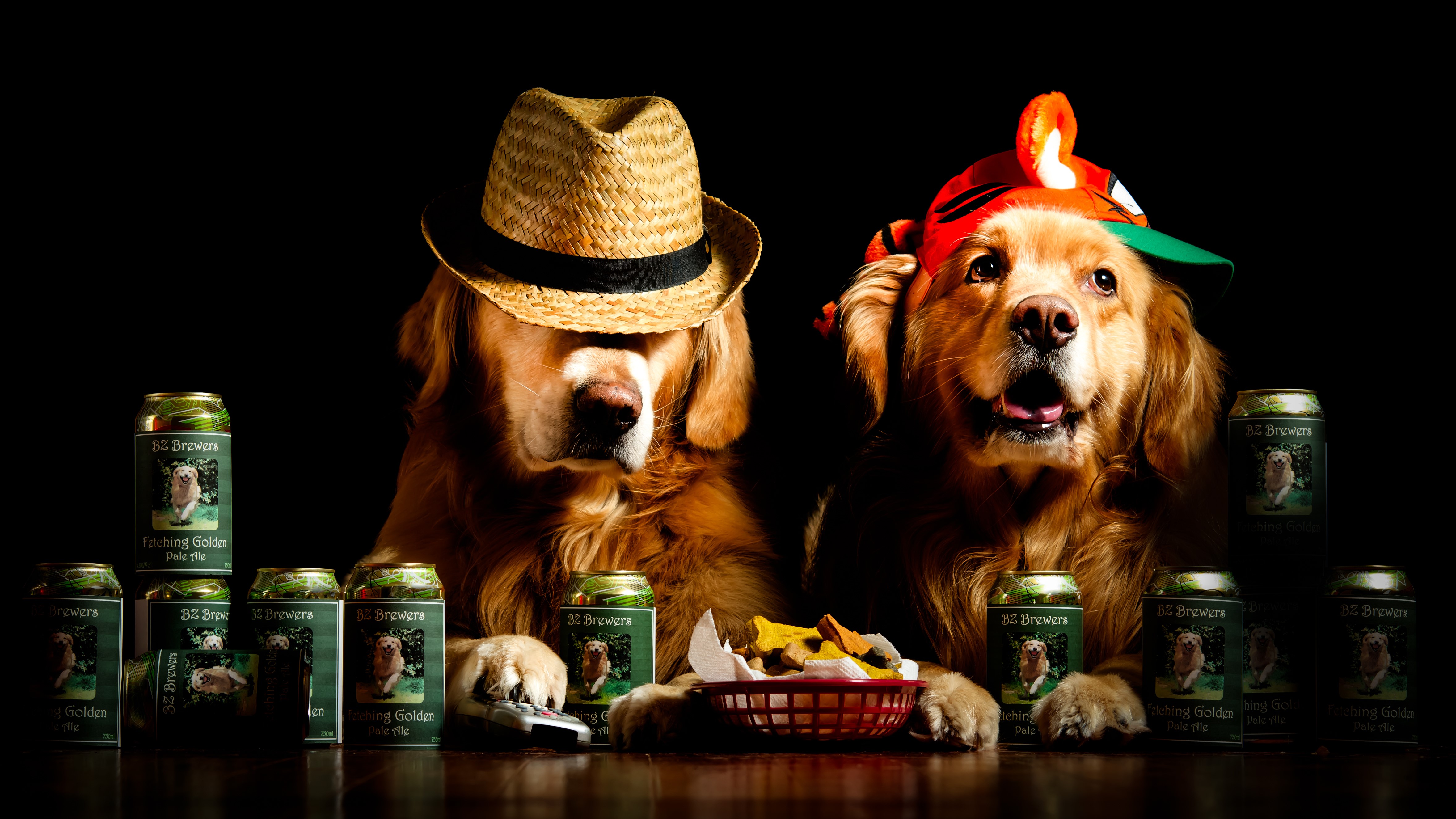 Two Golden Retrievers with Hats and Beer Cans HD Wallpaper