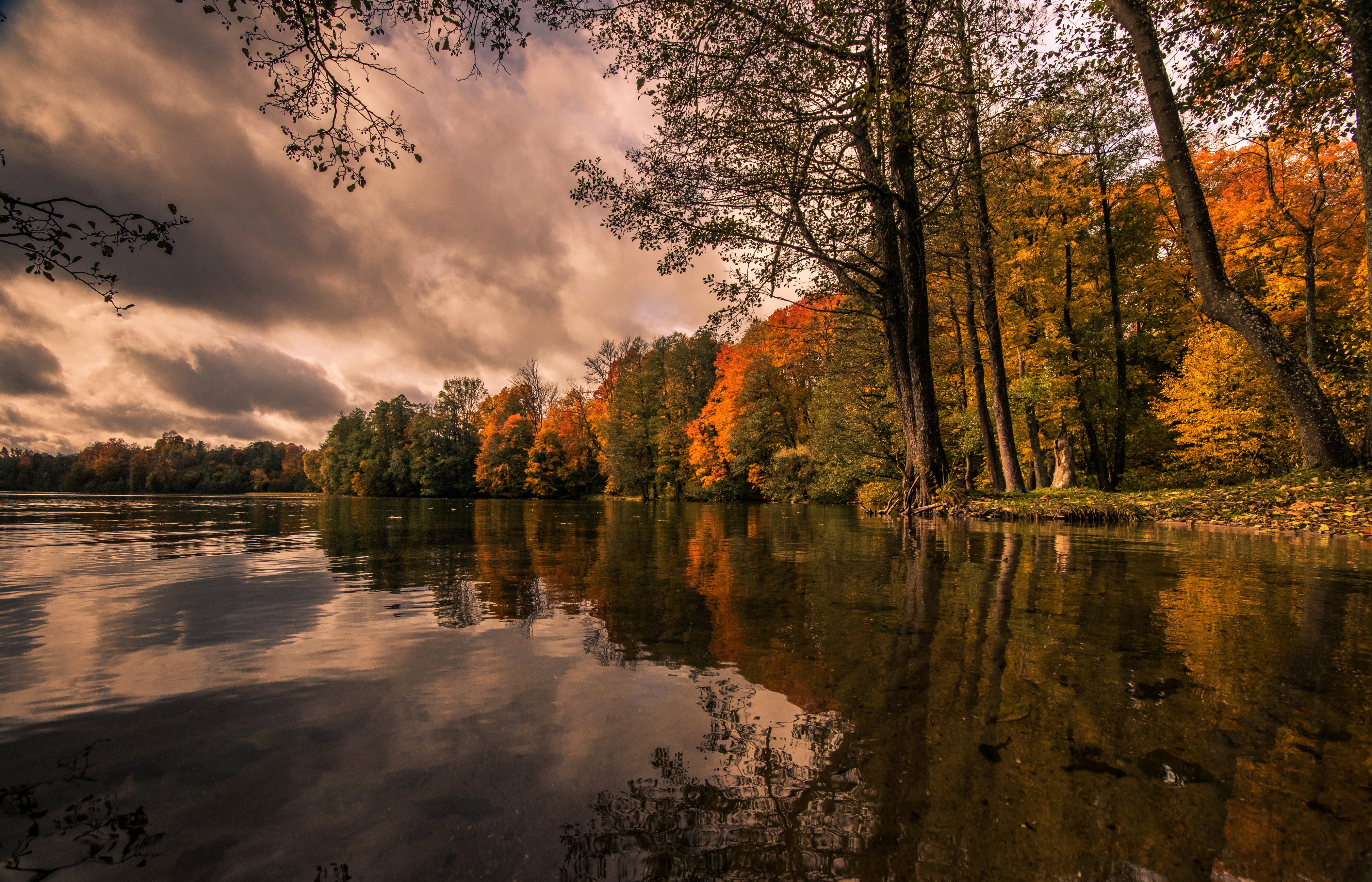 Autumn forest reflected in a lake HD Wallpaper