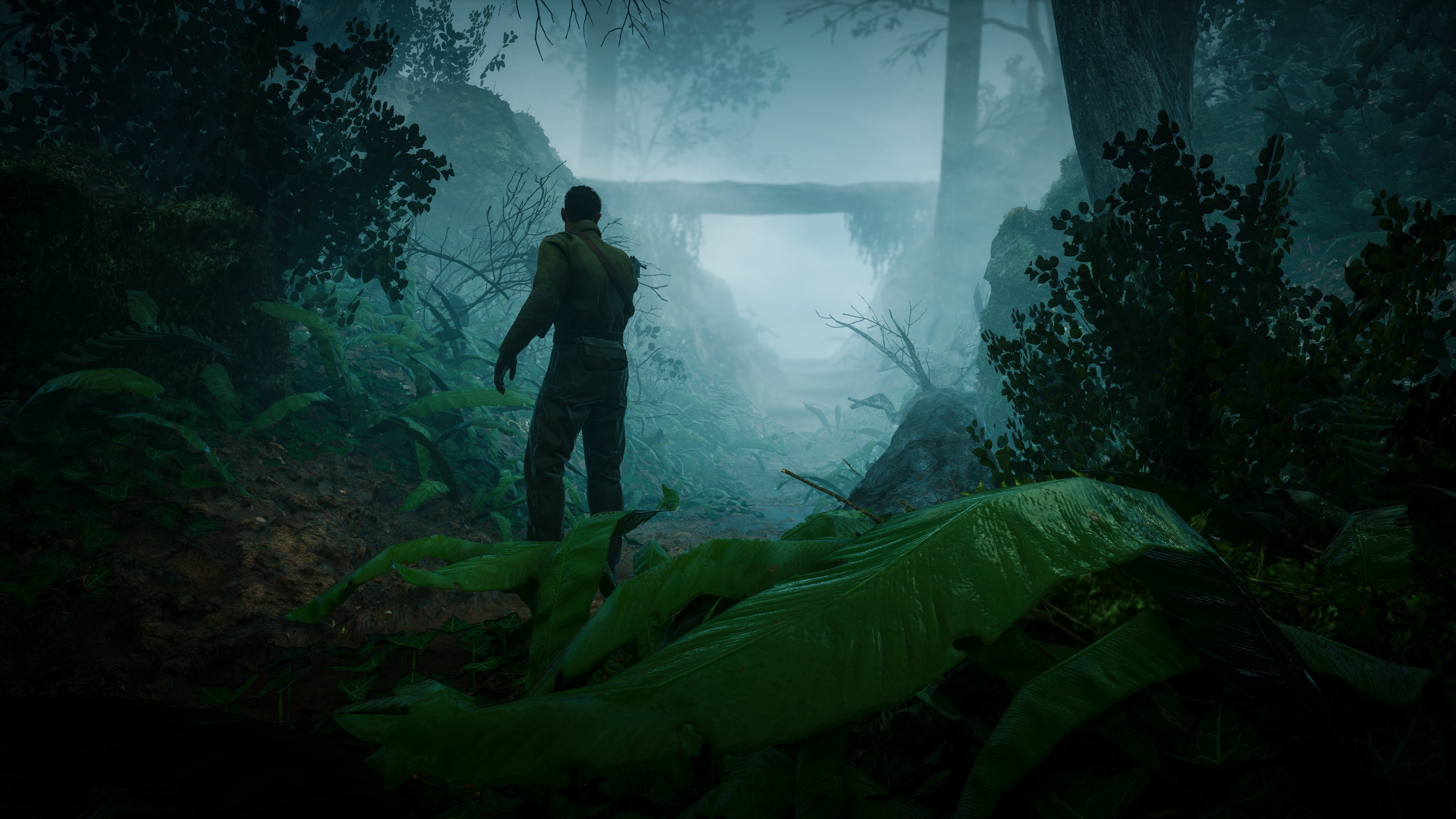 Soldier in a foggy jungle HD Wallpaper