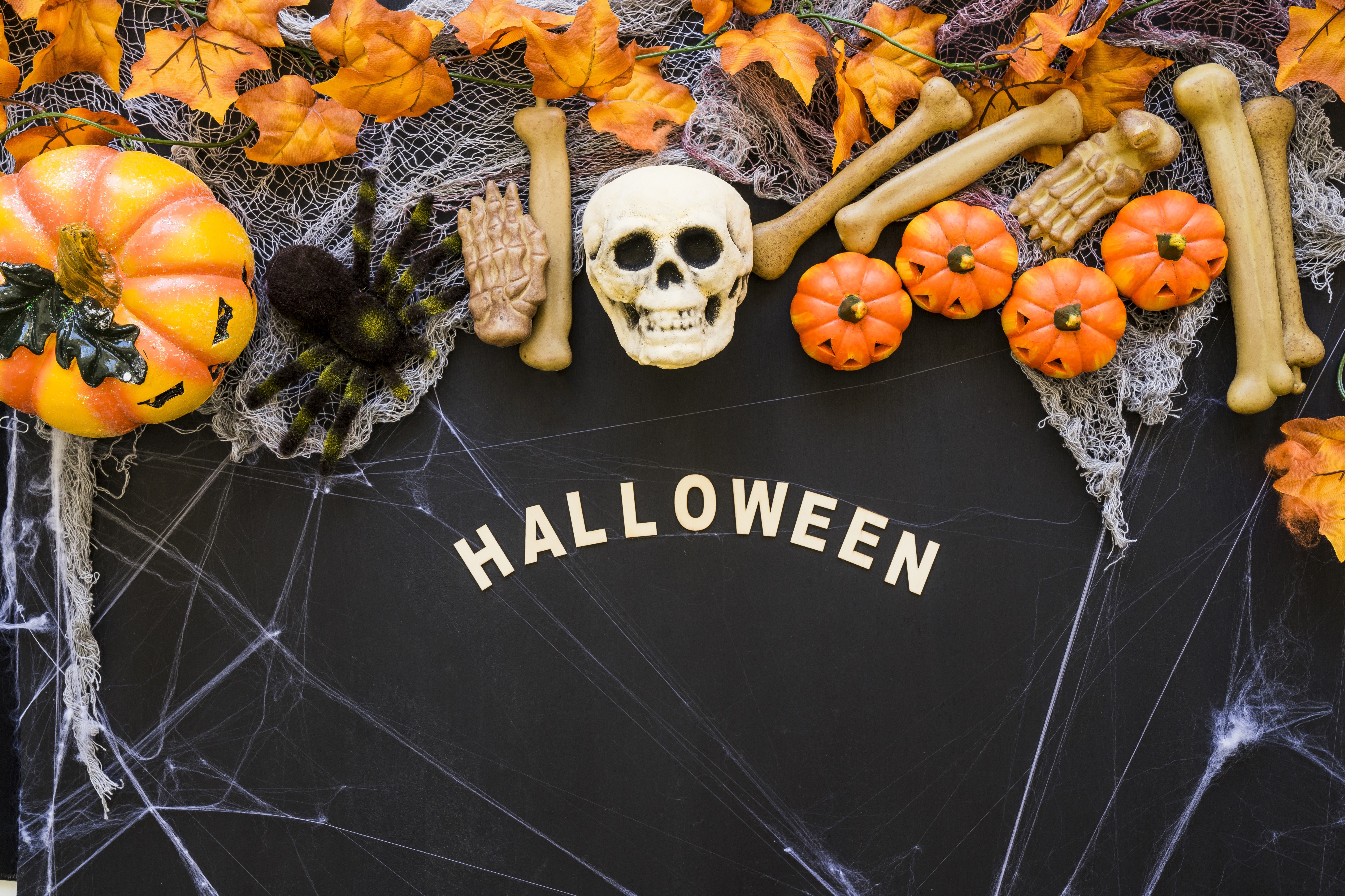 Halloween decorations with skull, pumpkins, and bones HD Wallpaper