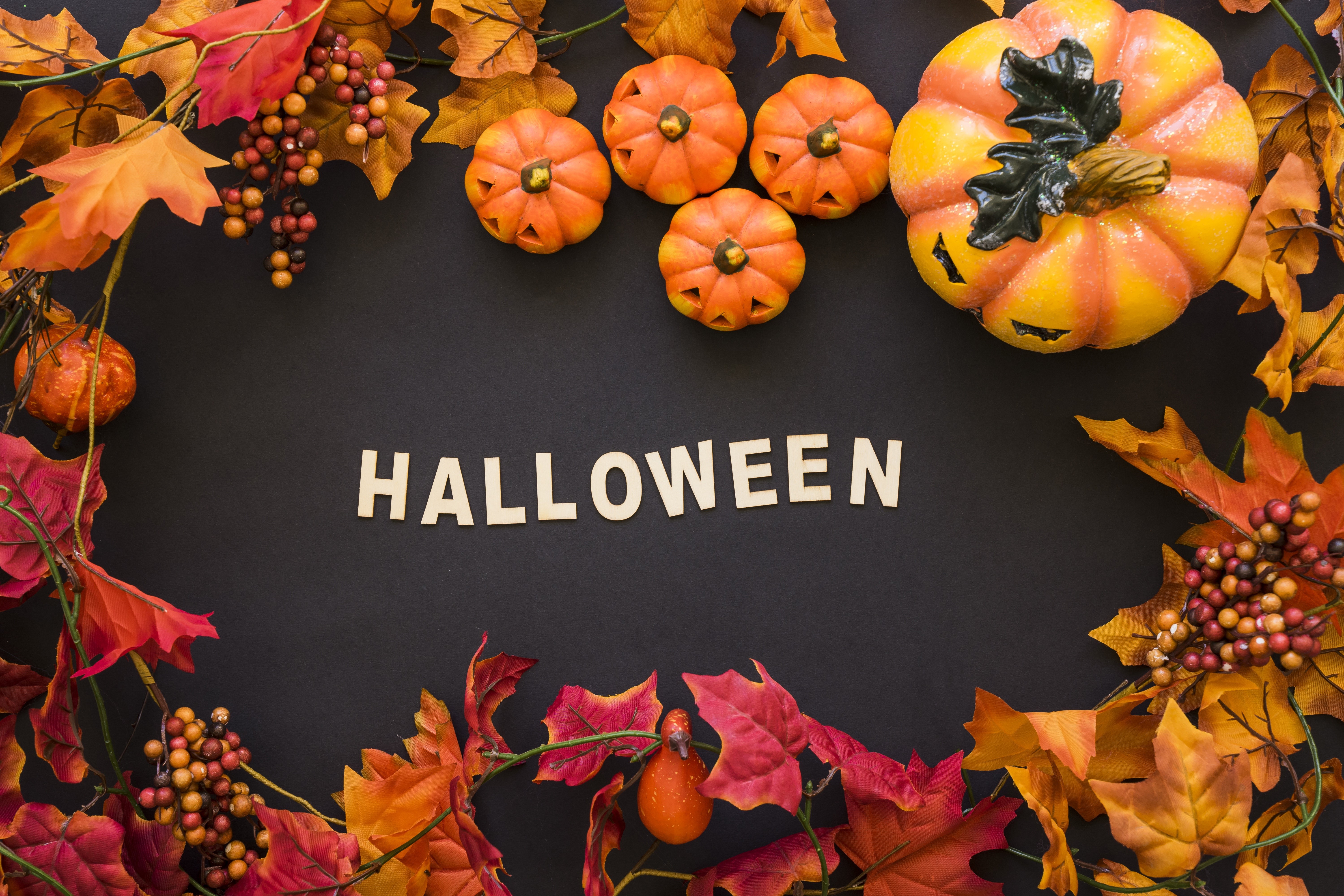 Halloween pumpkins and autumn leaves on black background HD Wallpaper