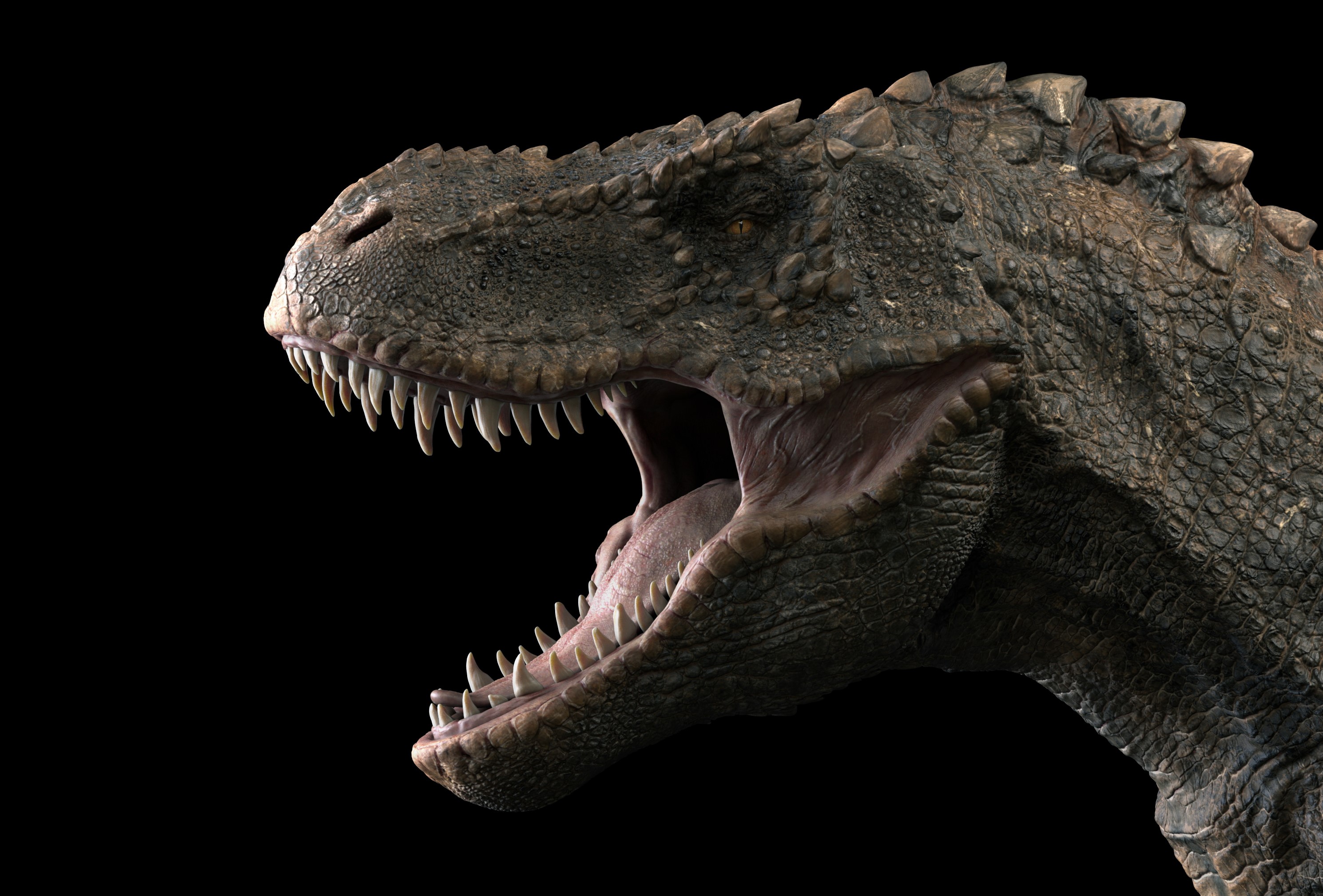 Tyrannosaurus Rex head with mouth open HD Wallpaper