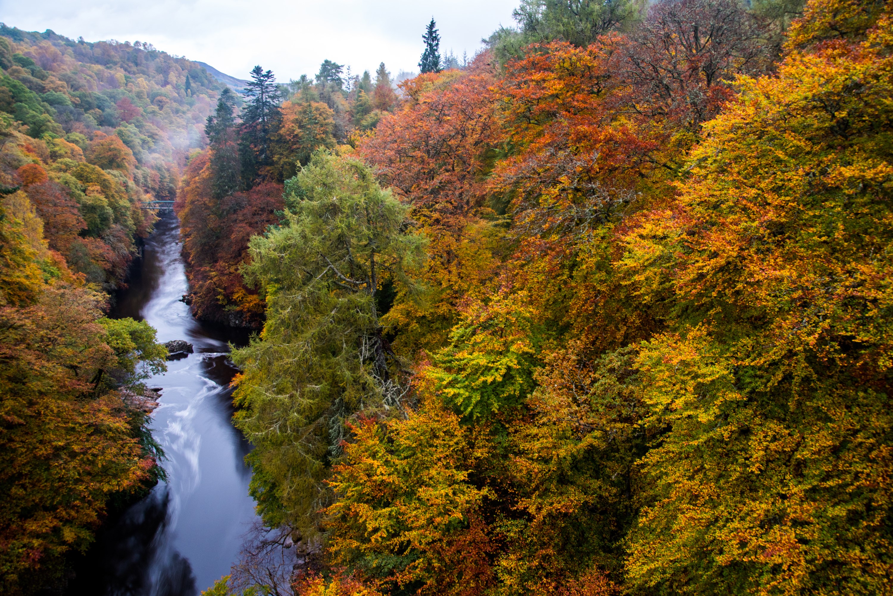 River flowing through a forest in Perthshire, Scotland during Autumn HD Wallpaper