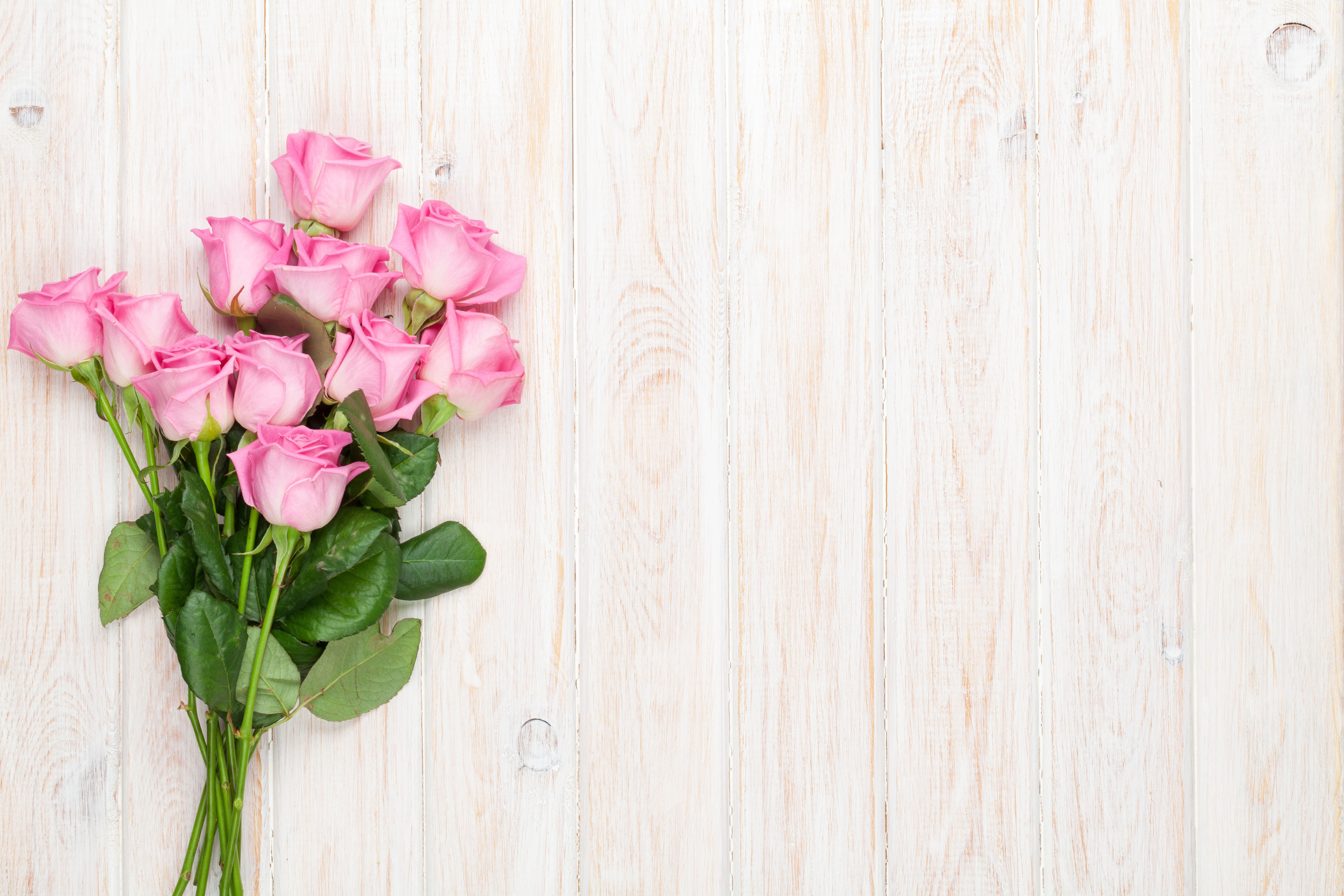 Pink Roses on a Wooden Background HD Wallpaper
