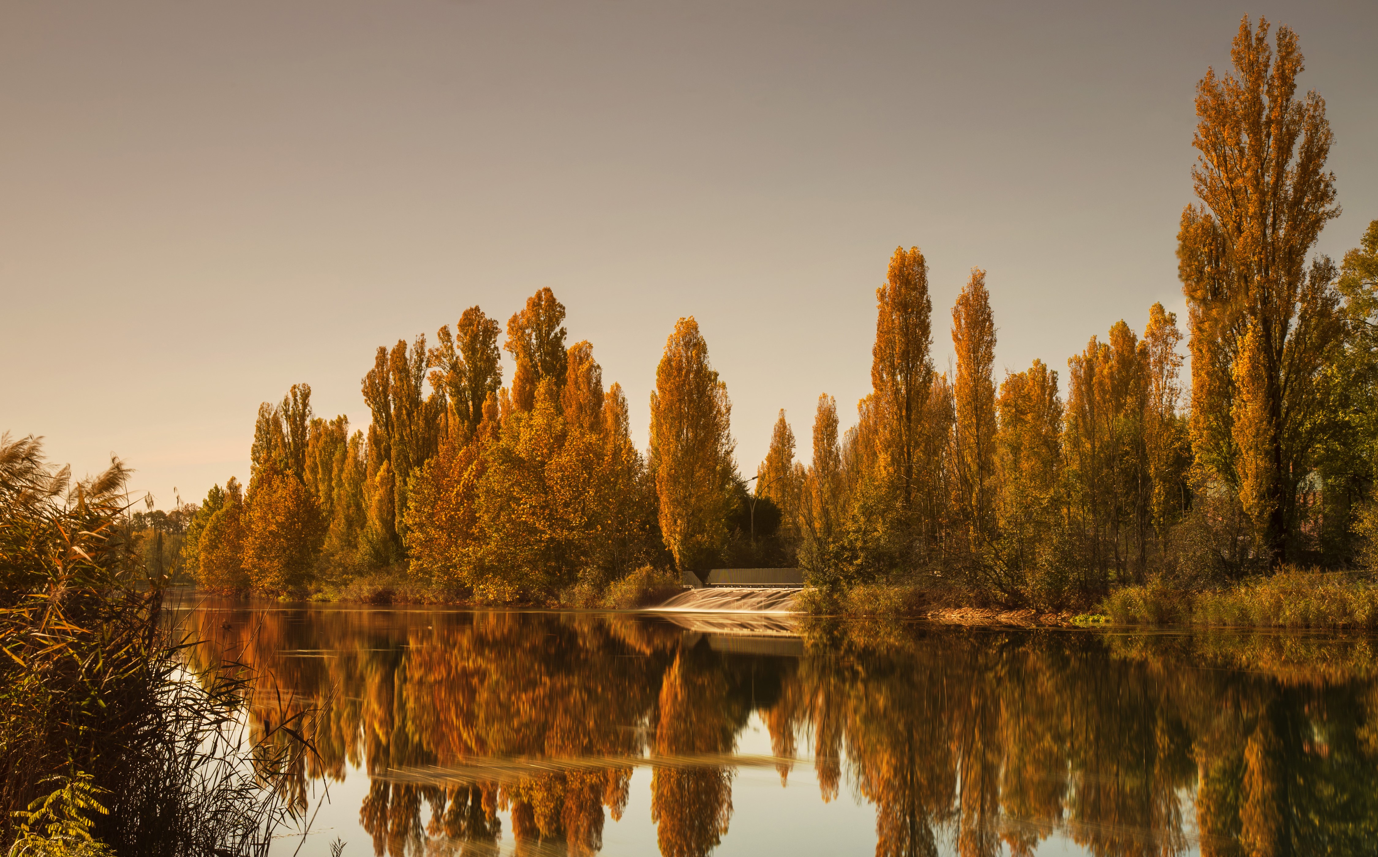 Autumn trees reflecting in a river in Salionze, Italy HD Wallpaper