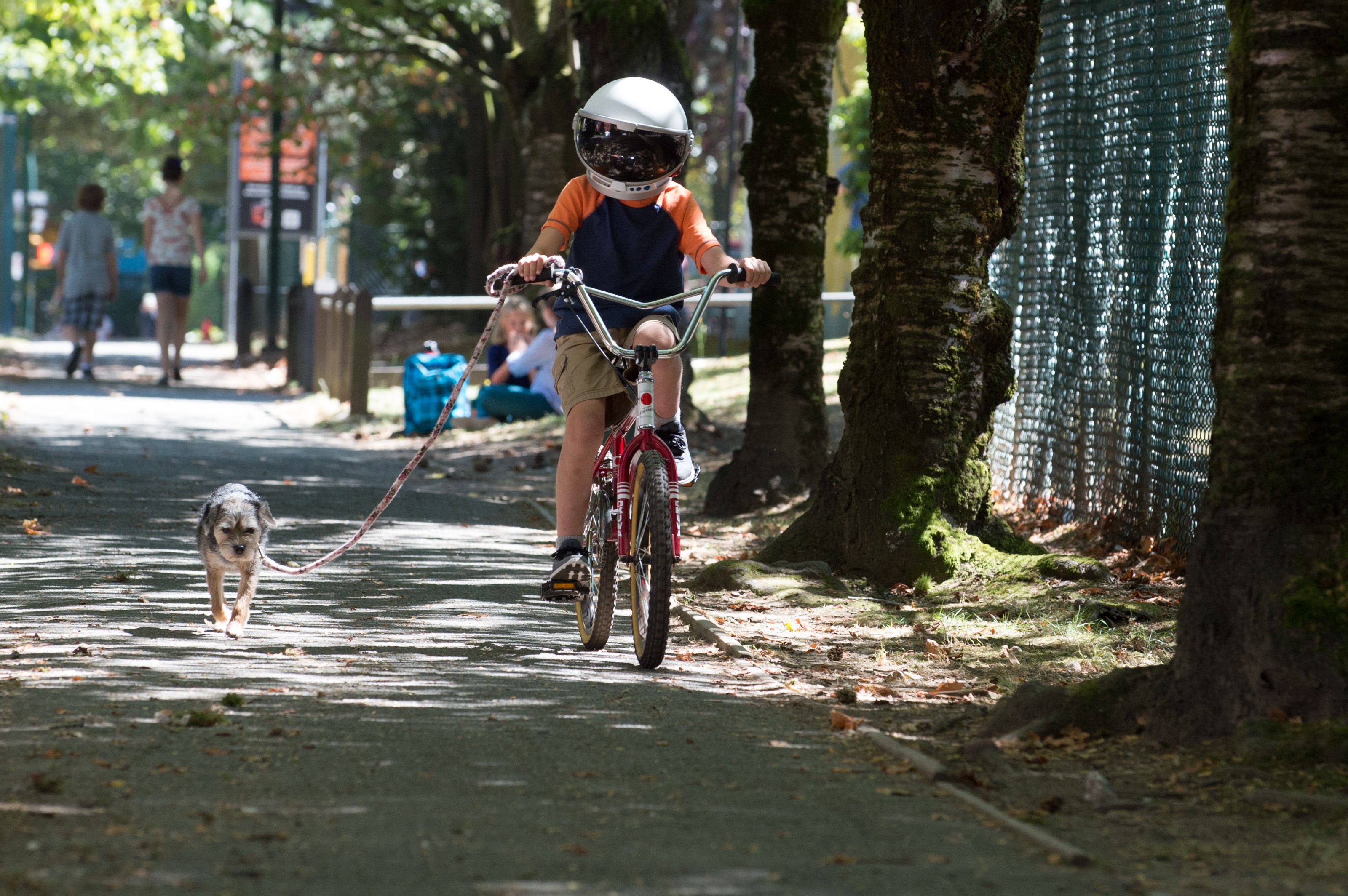 Boy in helmet riding a bicycle with a dog on a leash HD Wallpaper