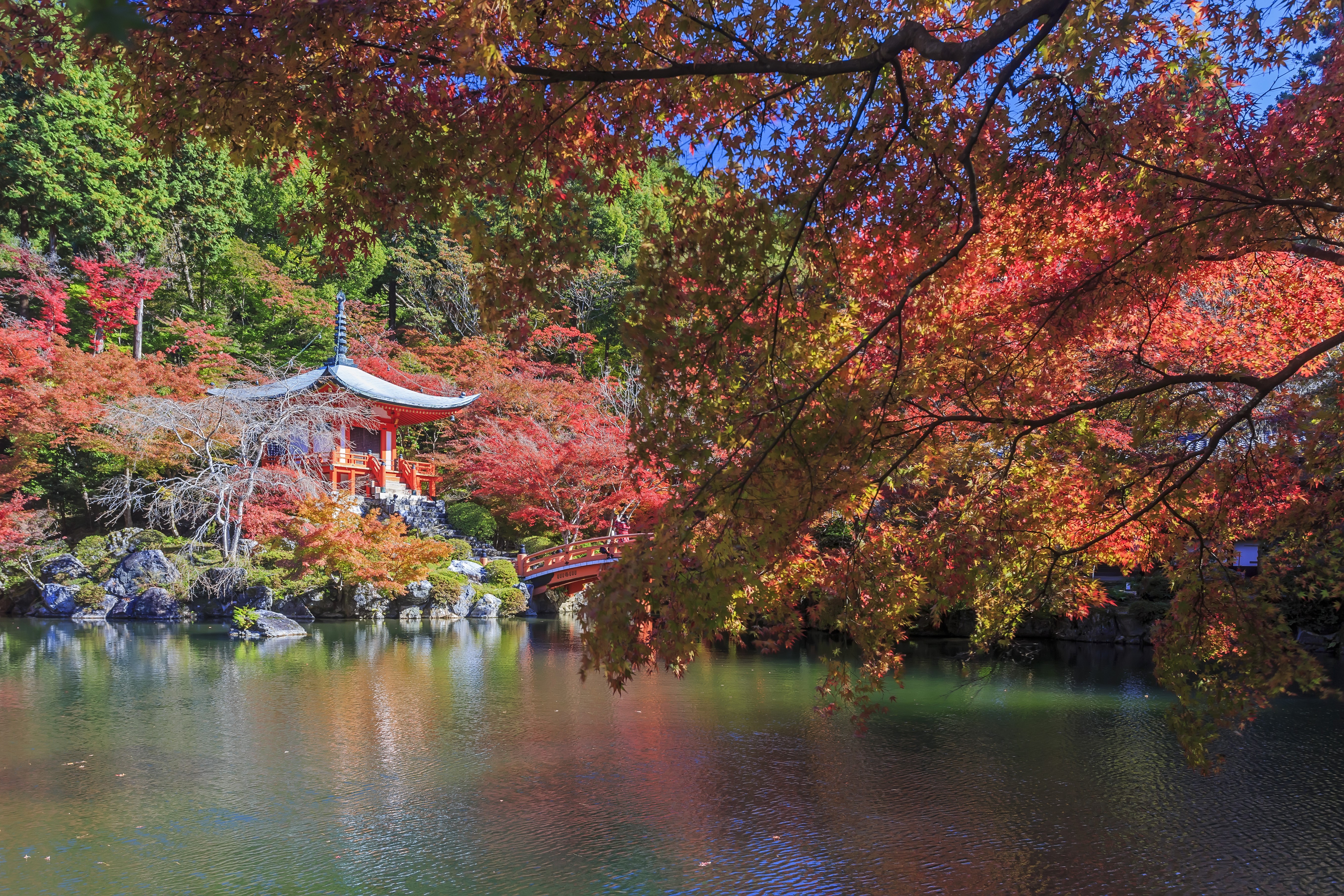 Japanese temple and pond with autumn foliage HD Wallpaper