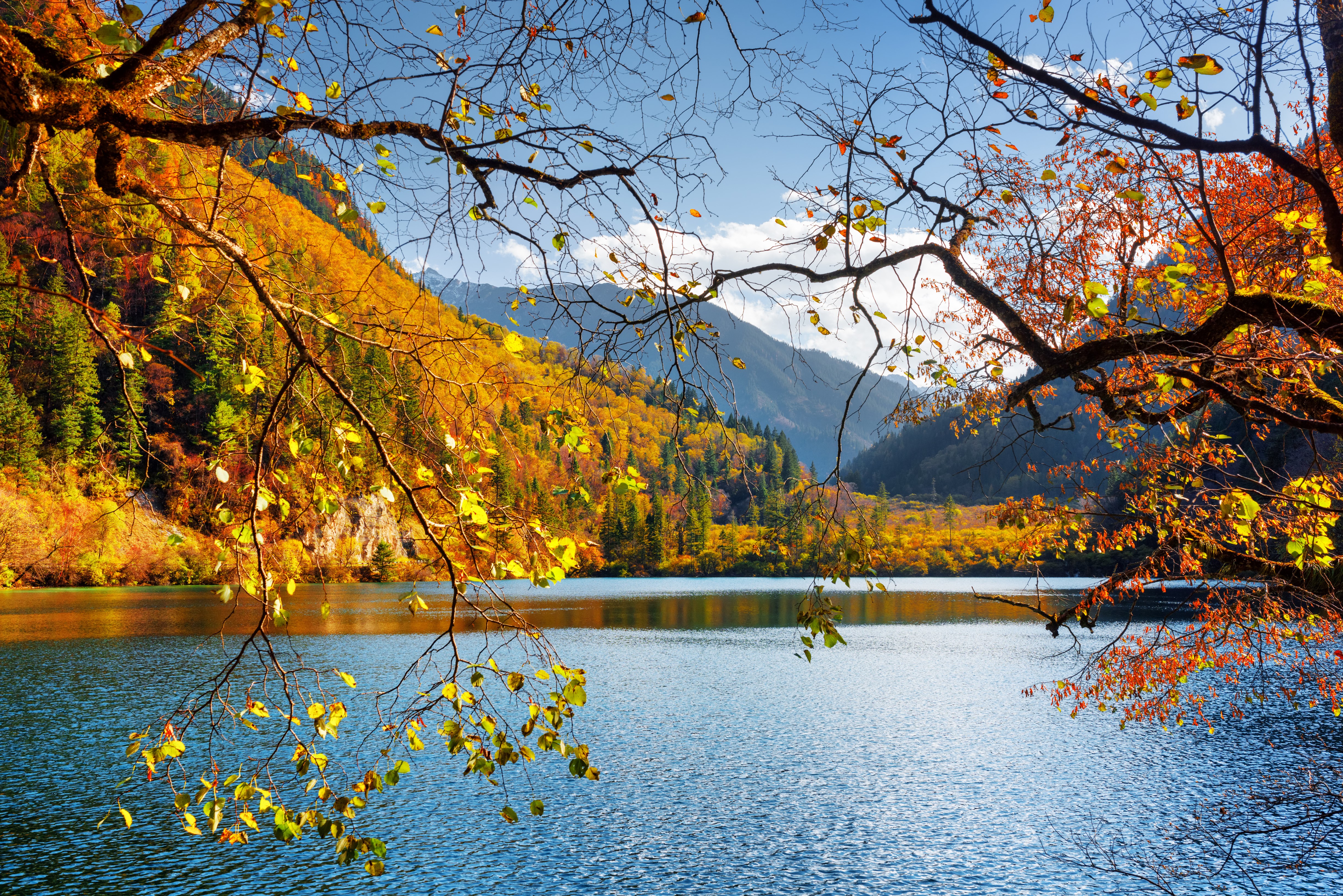 Autumn lake scenery in Jiuzhaigou Park, China HD Wallpaper