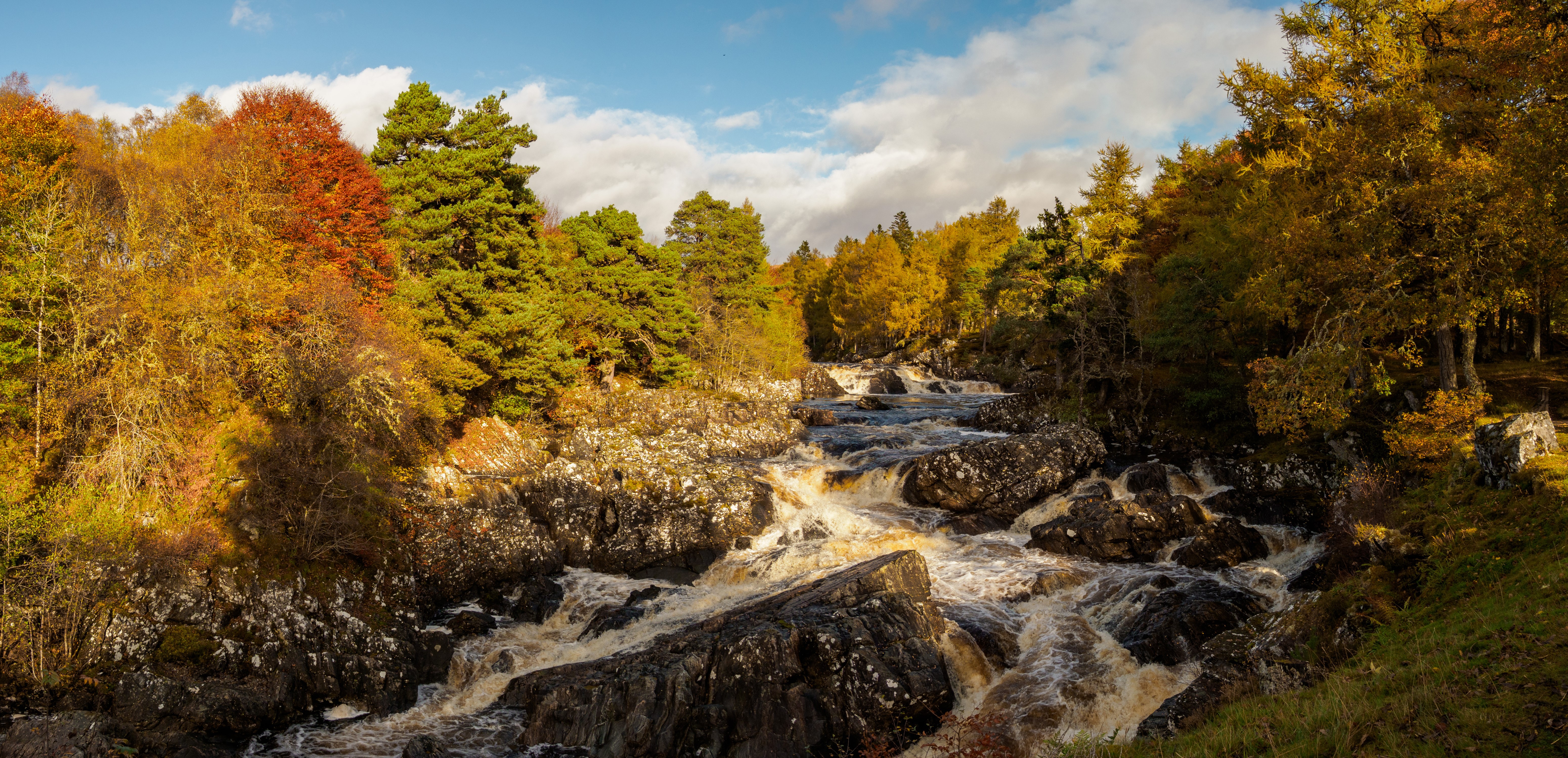 River Cassley in Scotland during Autumn HD Wallpaper